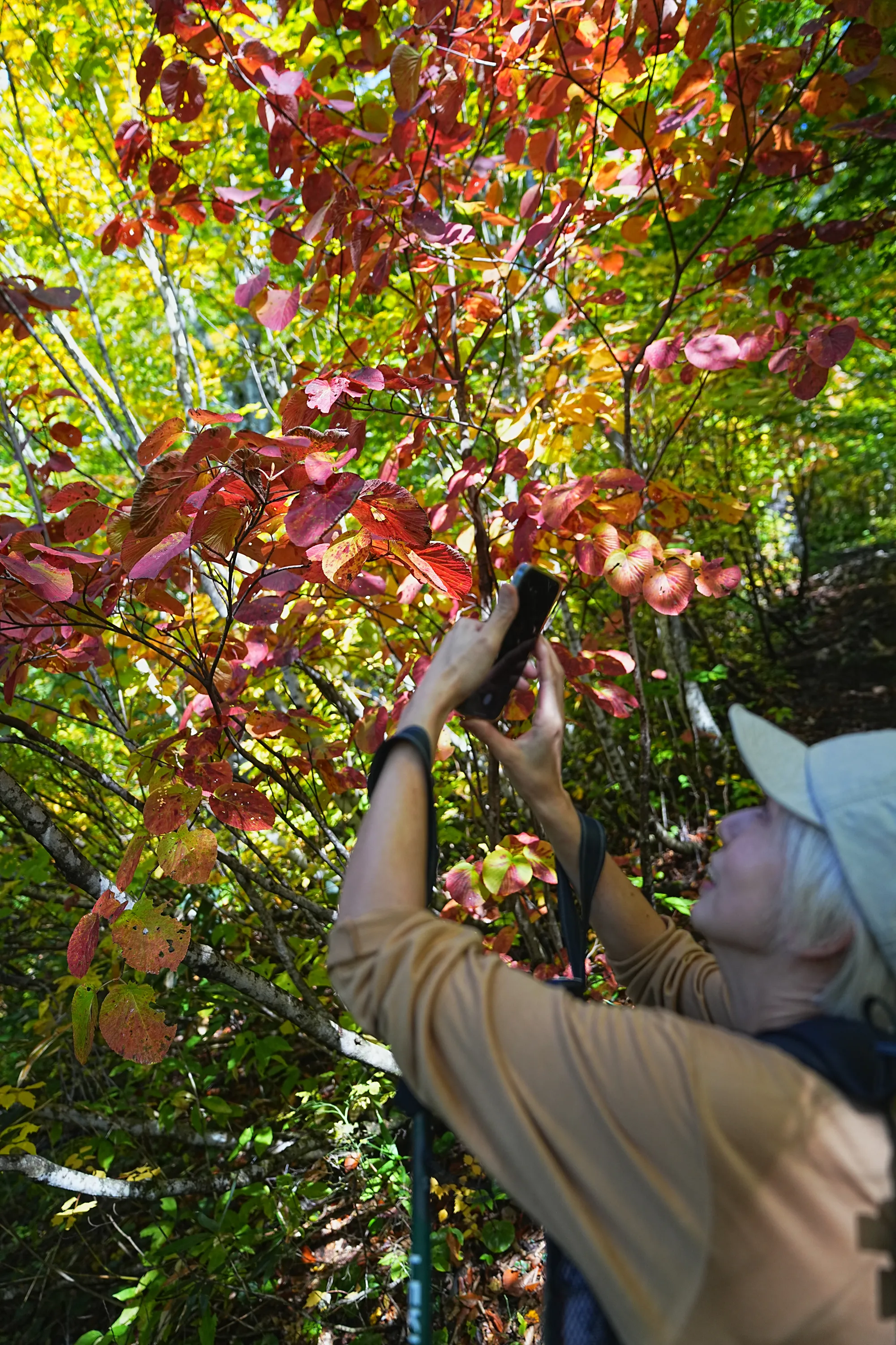 紅葉がピークの雨飾山登山&雨飾荘にお泊まりレポート。