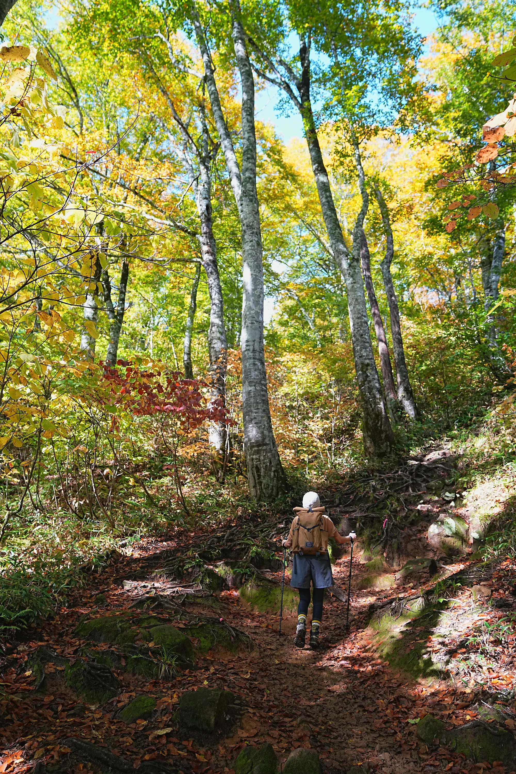 紅葉がピークの雨飾山登山&雨飾荘にお泊まりレポート。