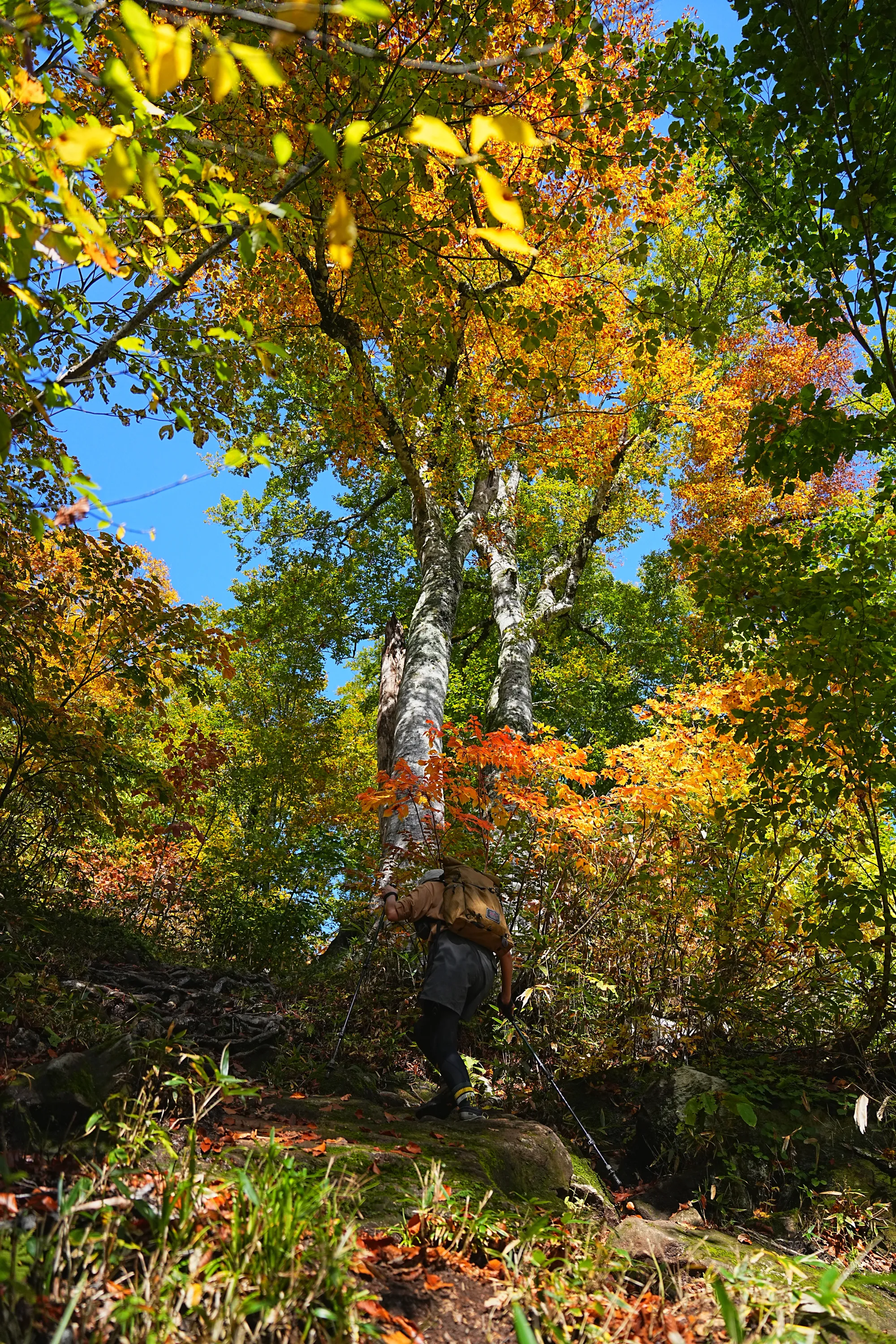 紅葉がピークの雨飾山登山&雨飾荘にお泊まりレポート。