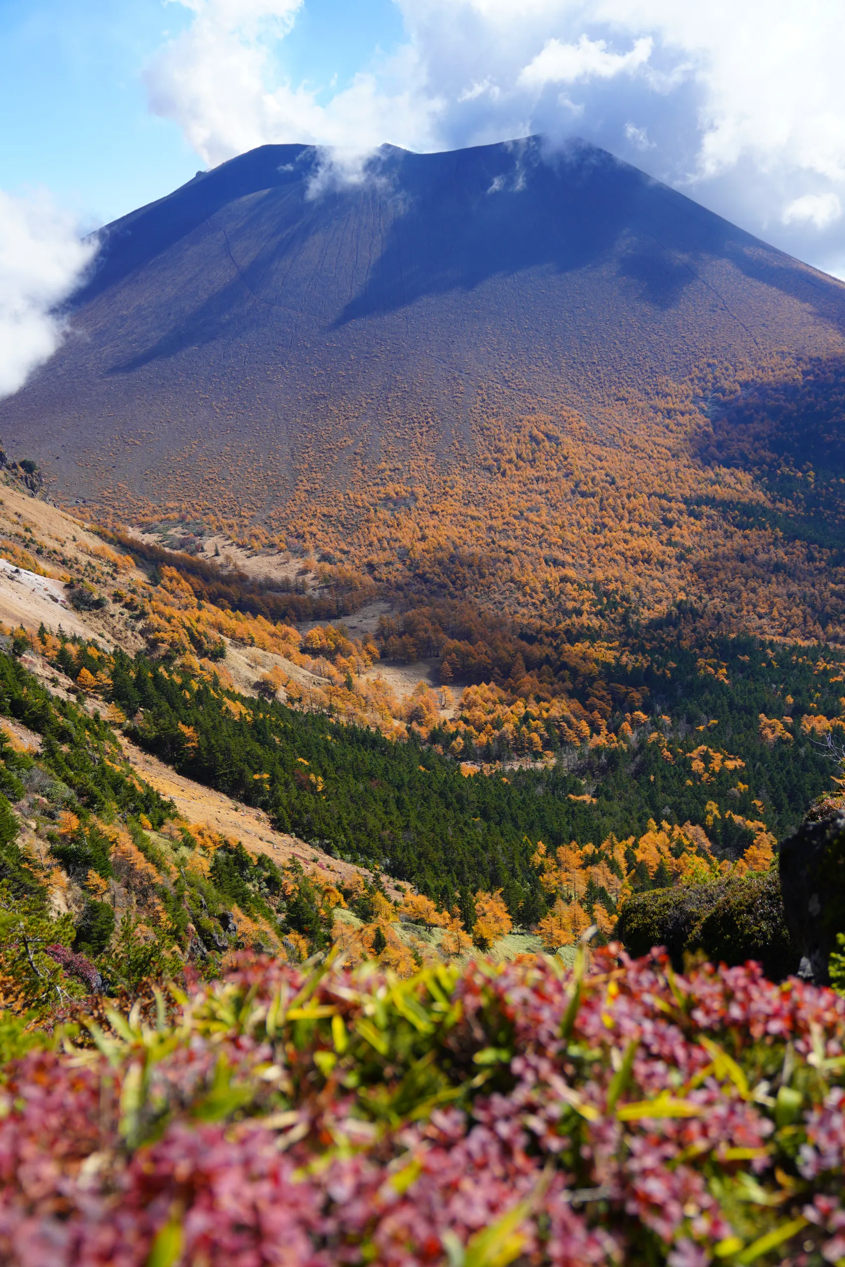浅間山・黒斑山、カラマツ紅葉ハイキング
