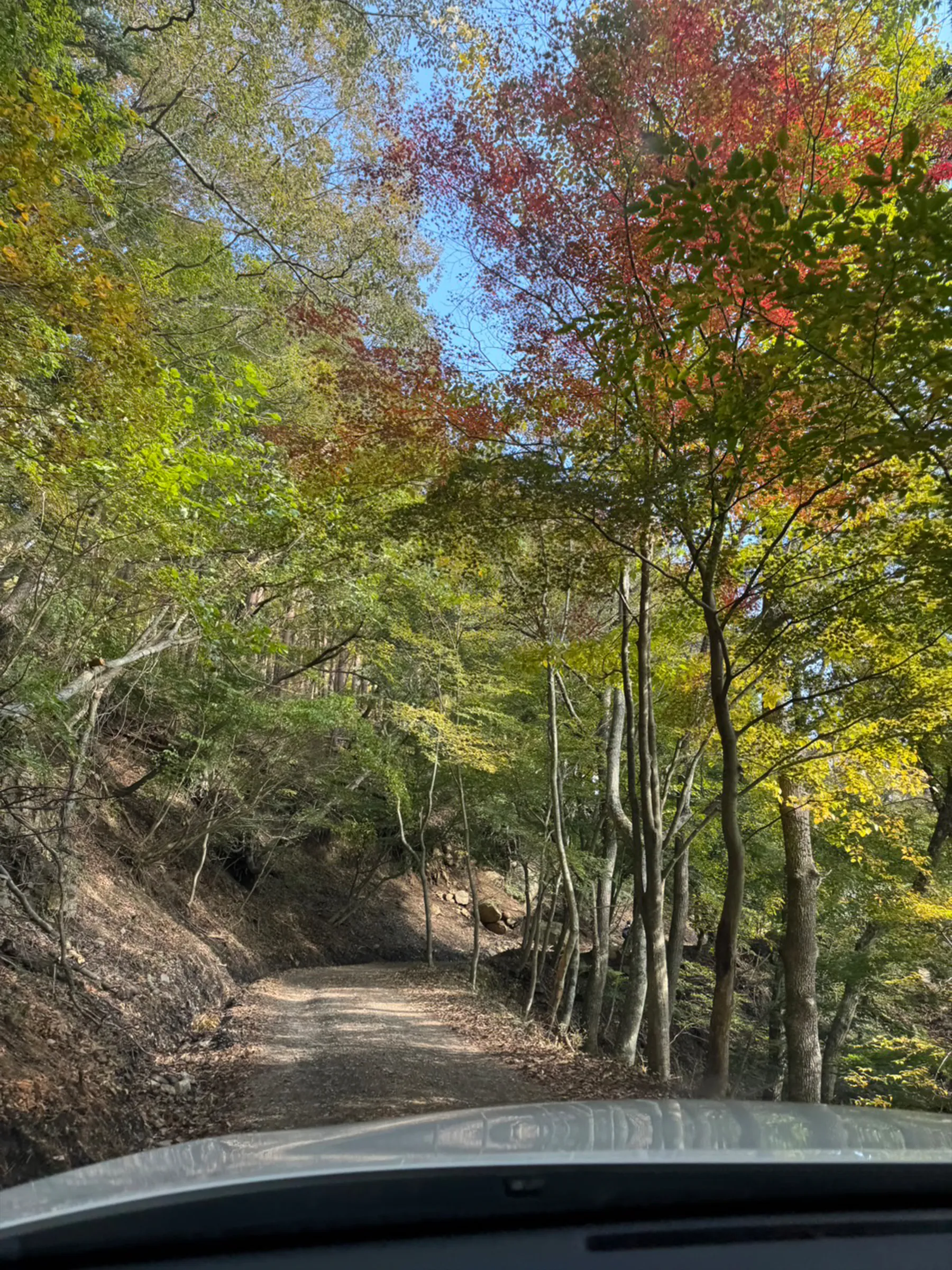 急峻な渓谷を歩く紅葉の裏巻機渓谷