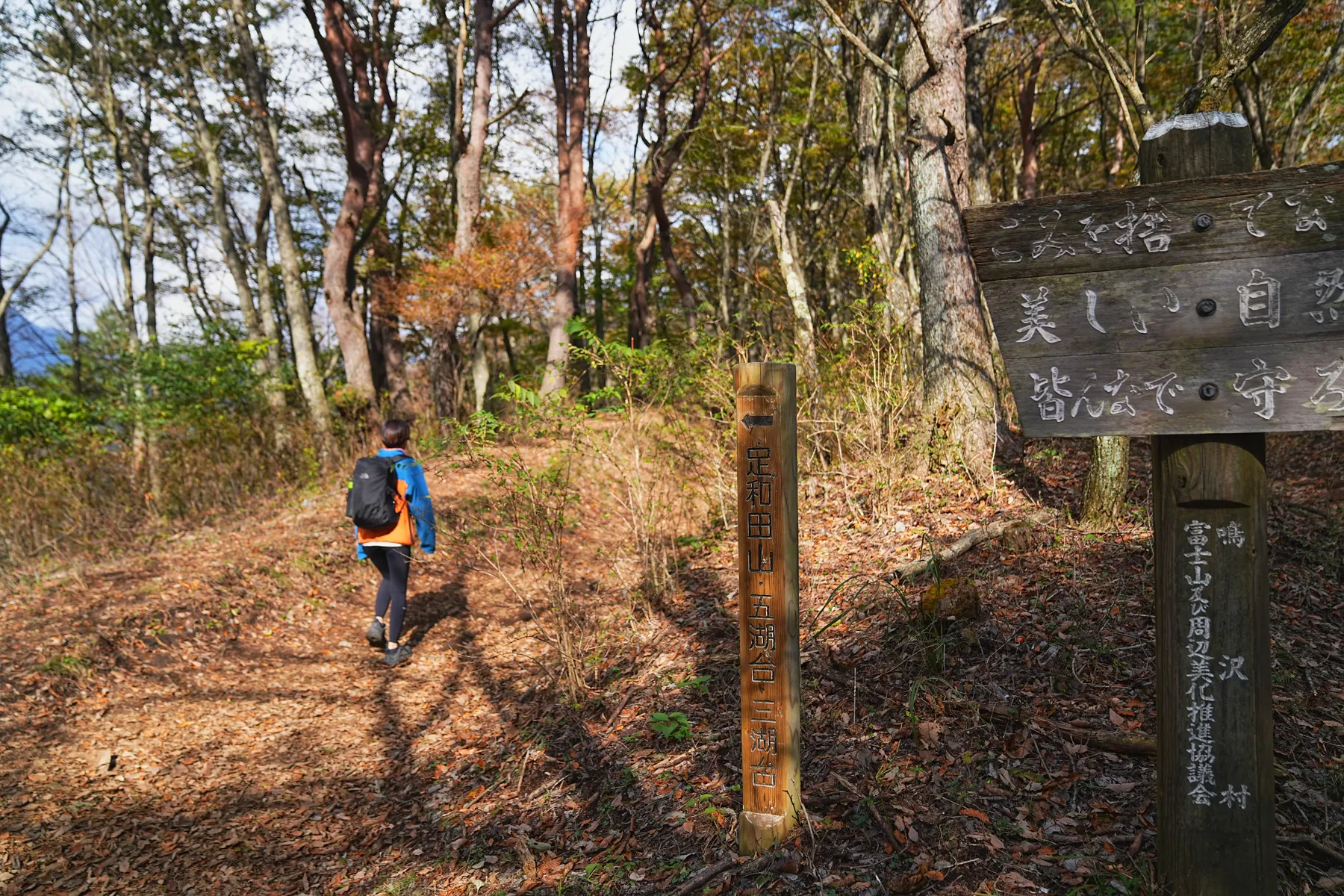 秋の足和田山。紅葉ハイキング