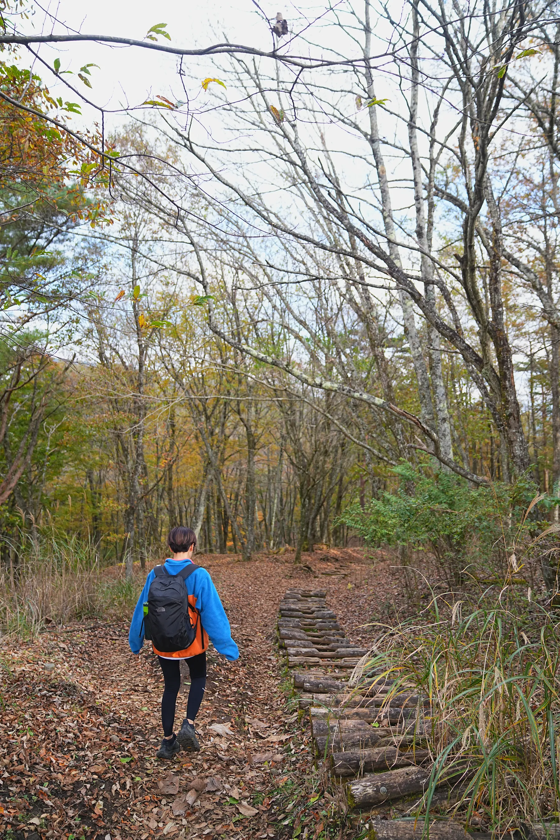 秋の足和田山。紅葉ハイキング