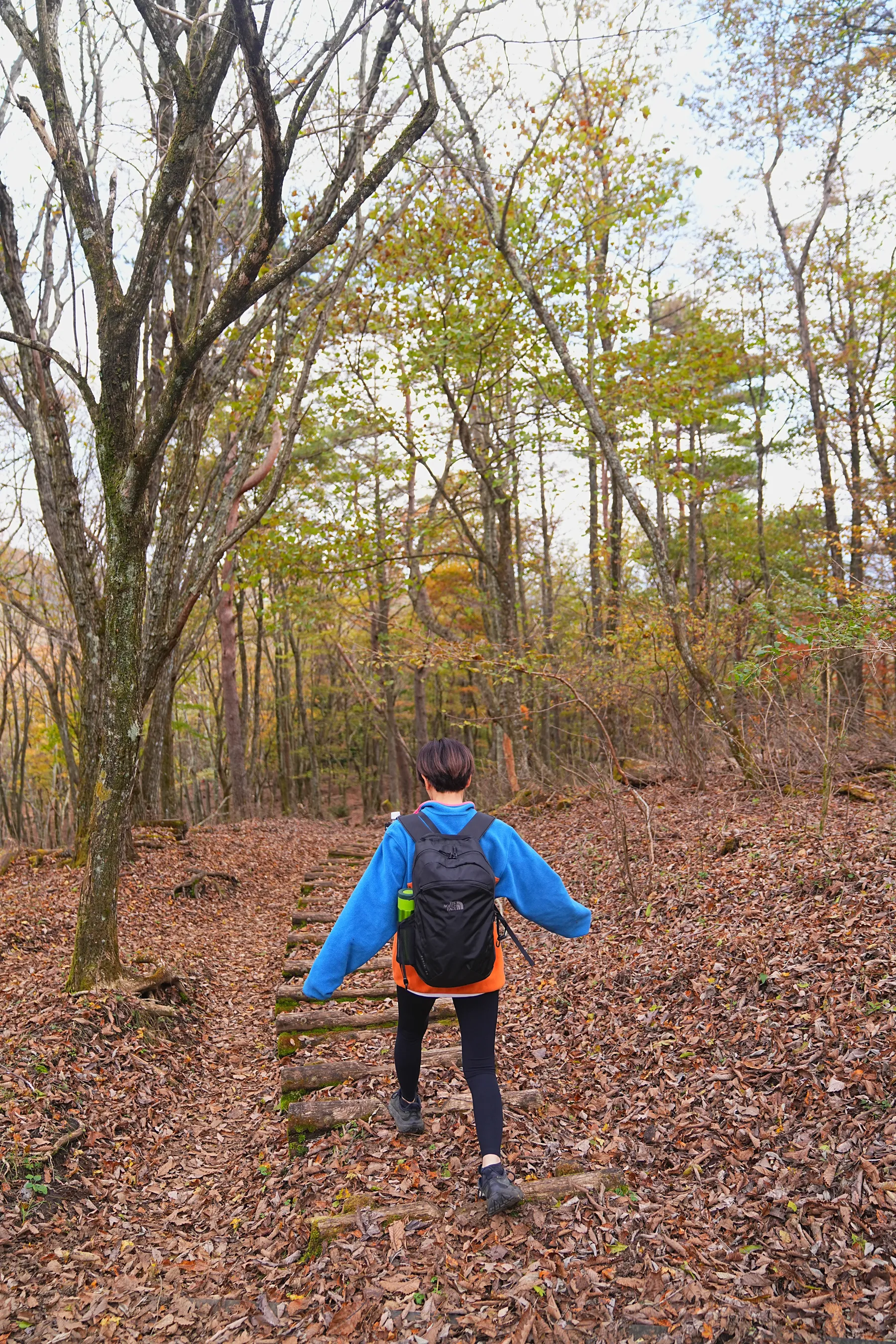 秋の足和田山。紅葉ハイキング