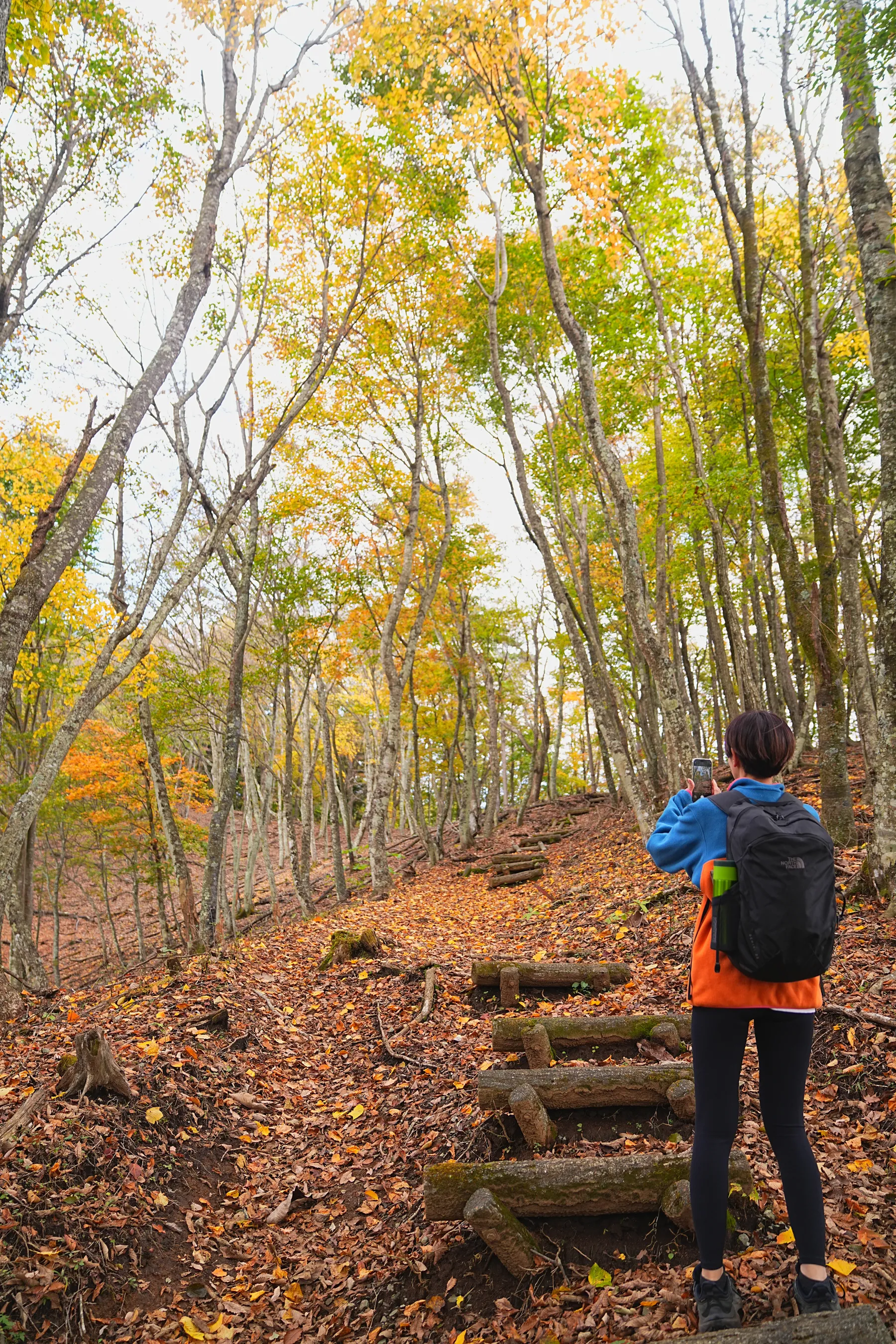 秋の足和田山。紅葉ハイキング