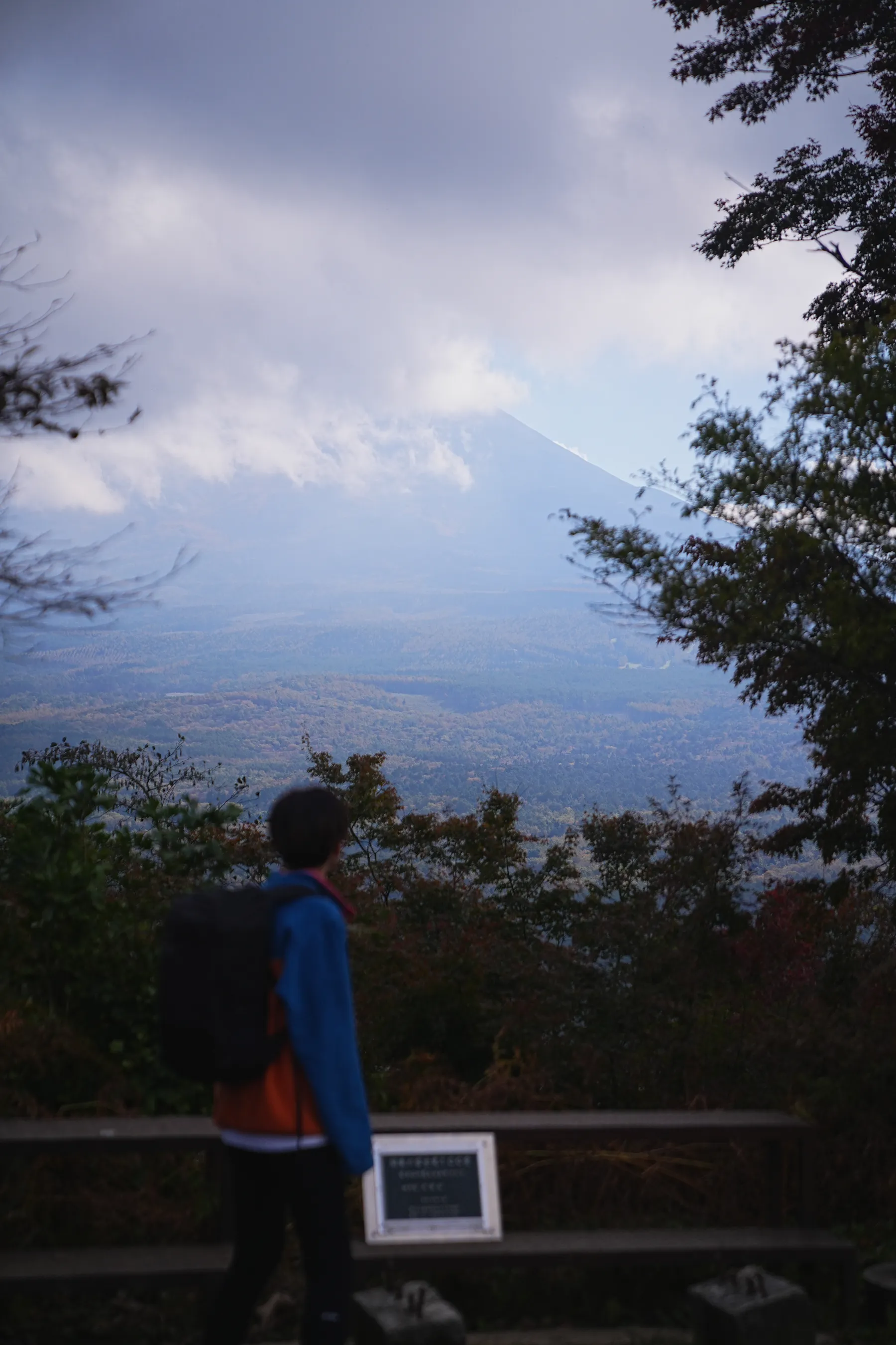 秋の足和田山。紅葉ハイキング