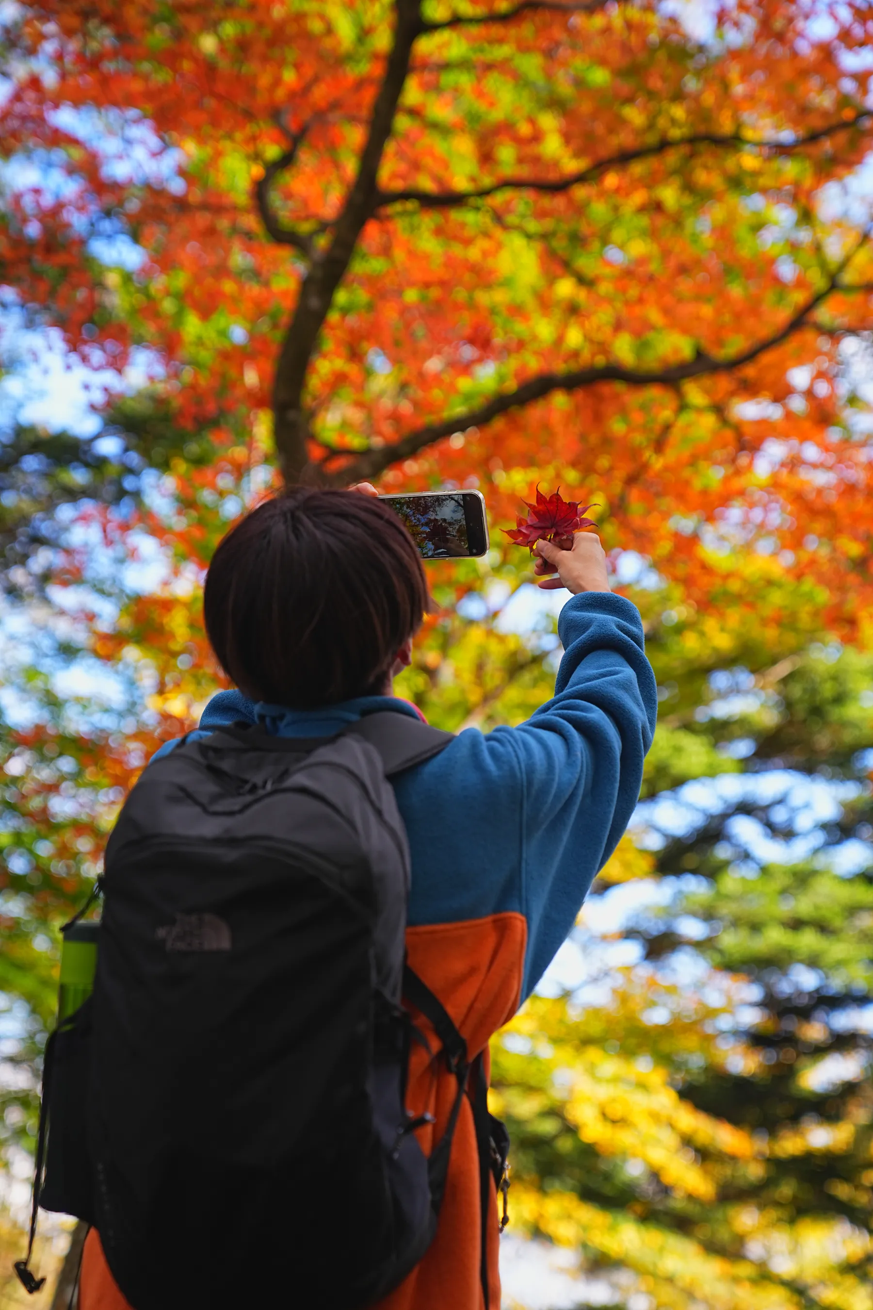 秋の足和田山。紅葉ハイキング