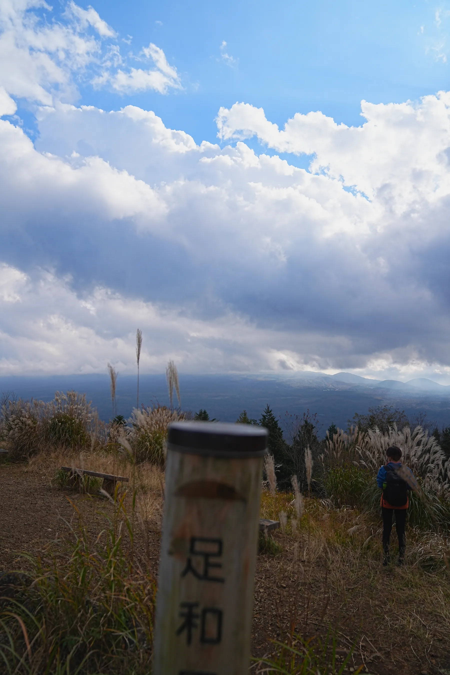 秋の足和田山。紅葉ハイキング