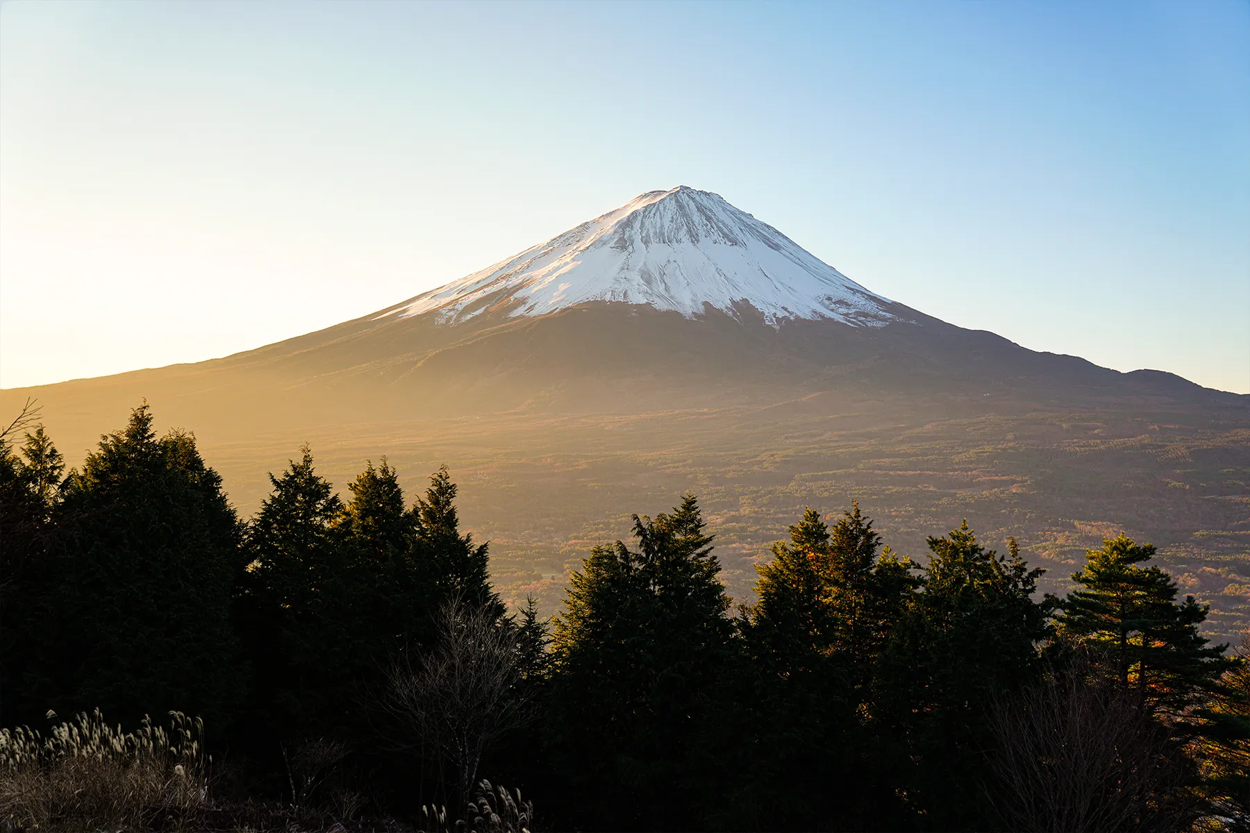 秋の足和田山。紅葉ハイキング