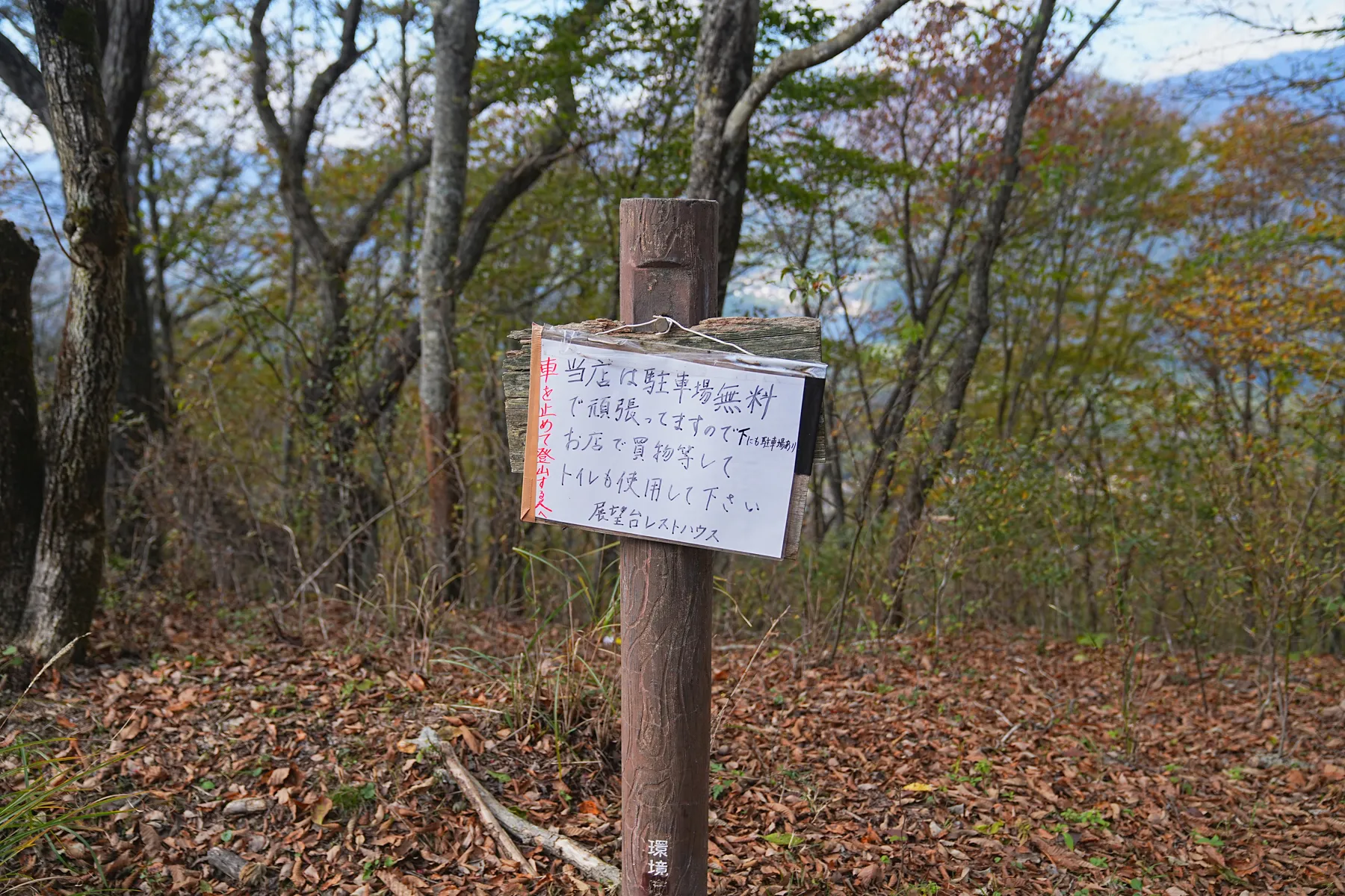 秋の足和田山。紅葉ハイキング