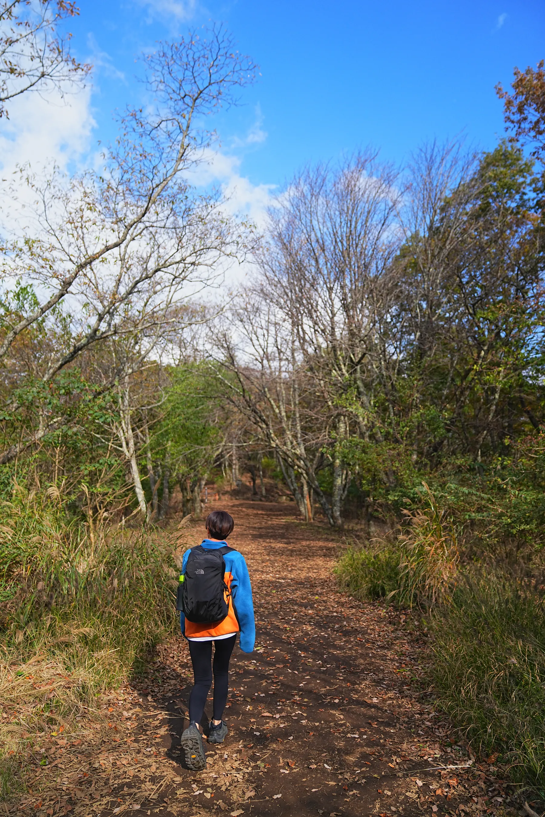 秋の足和田山。紅葉ハイキング