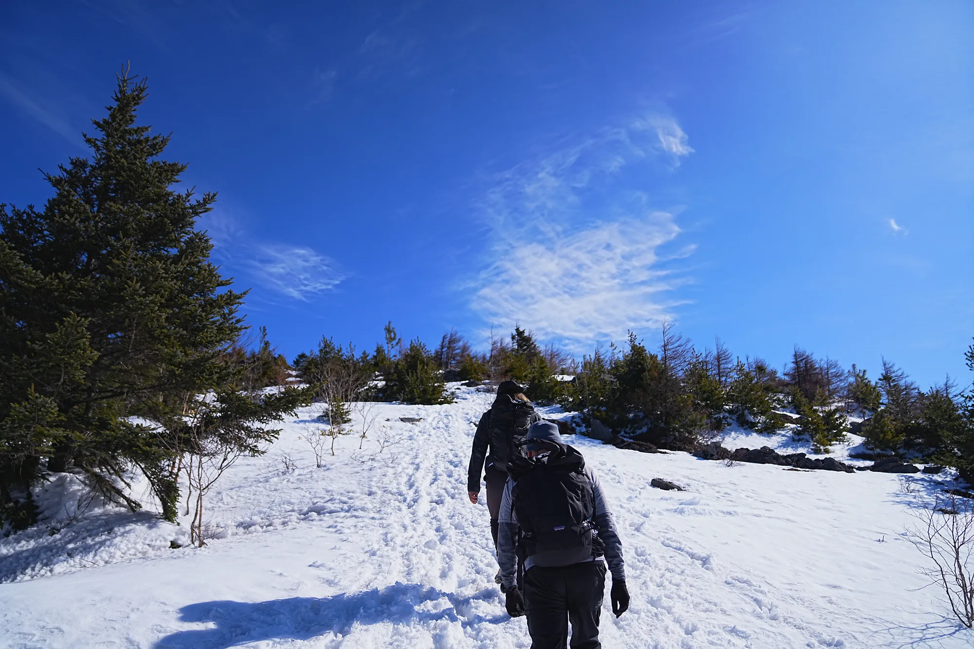 残雪の四阿山 早春登山