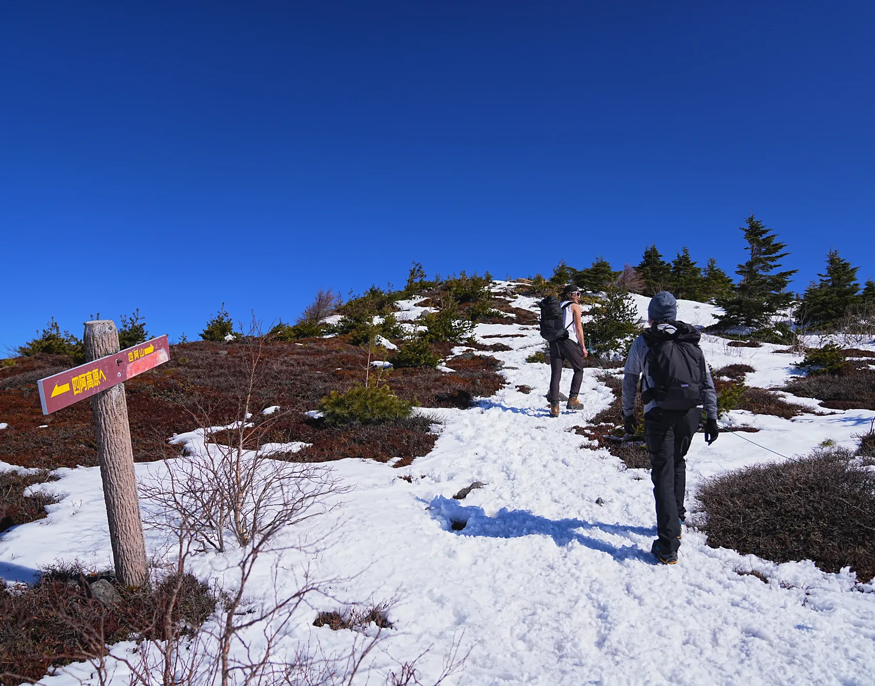 残雪の四阿山 早春登山