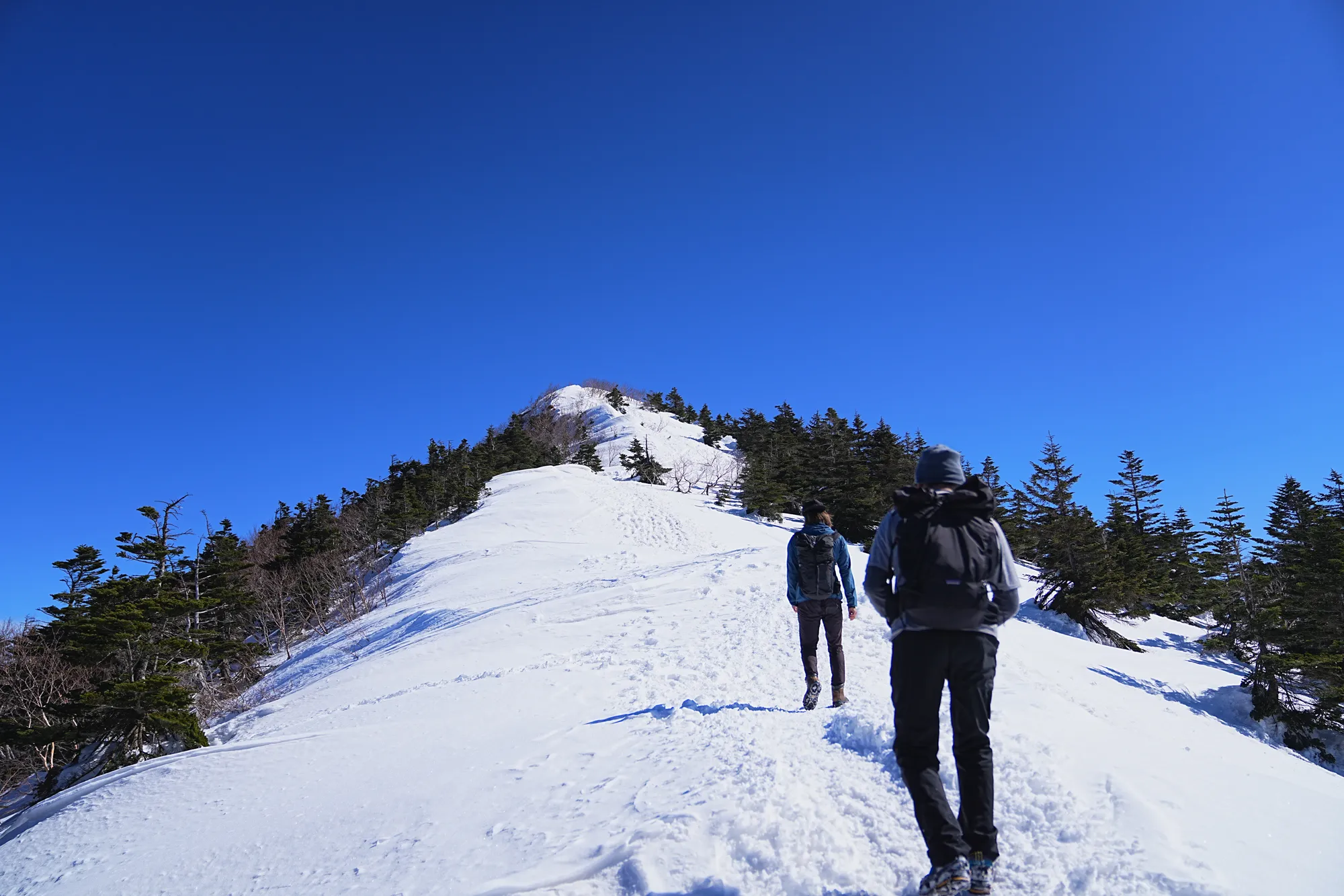 残雪の四阿山 早春登山