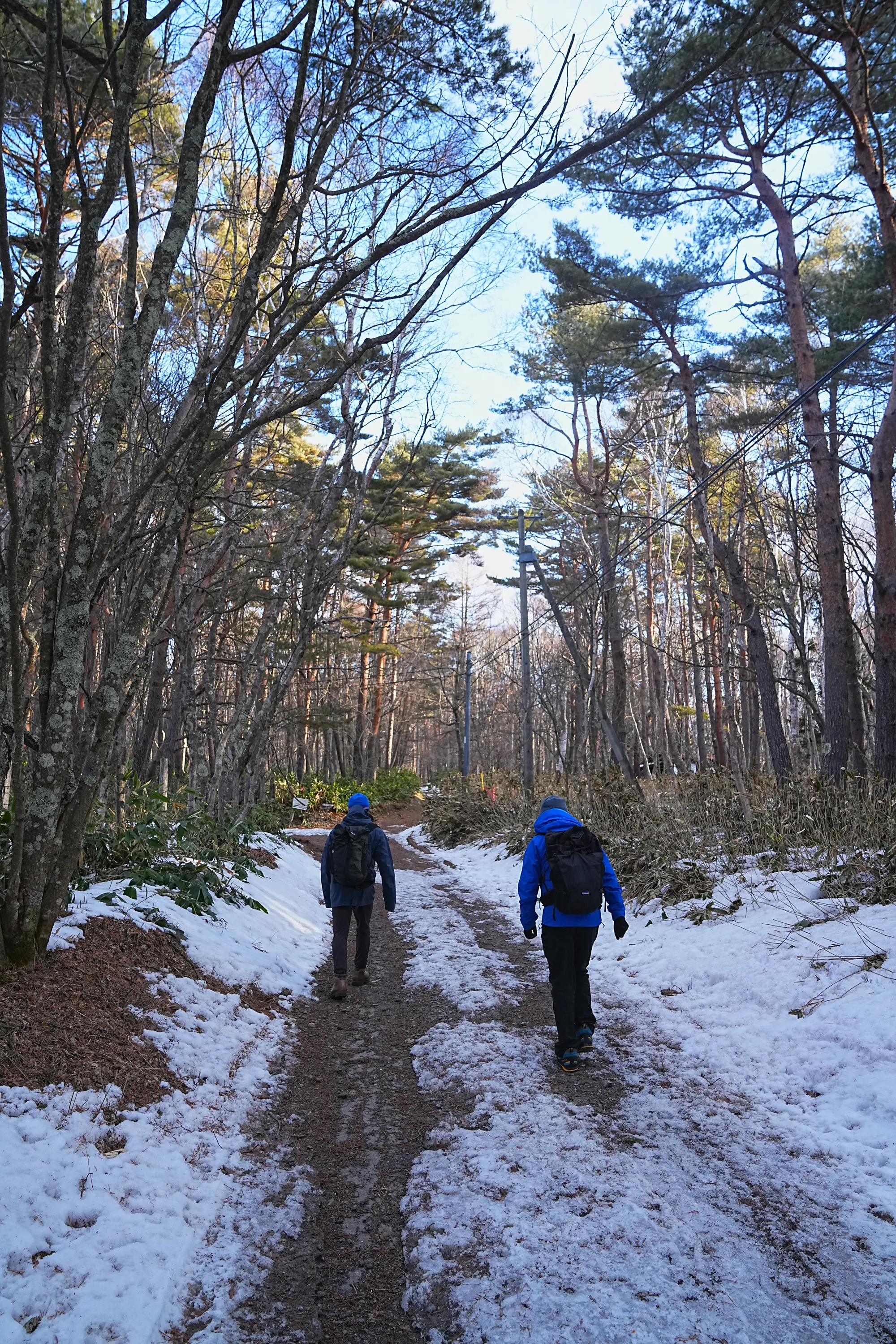 残雪の四阿山 早春登山
