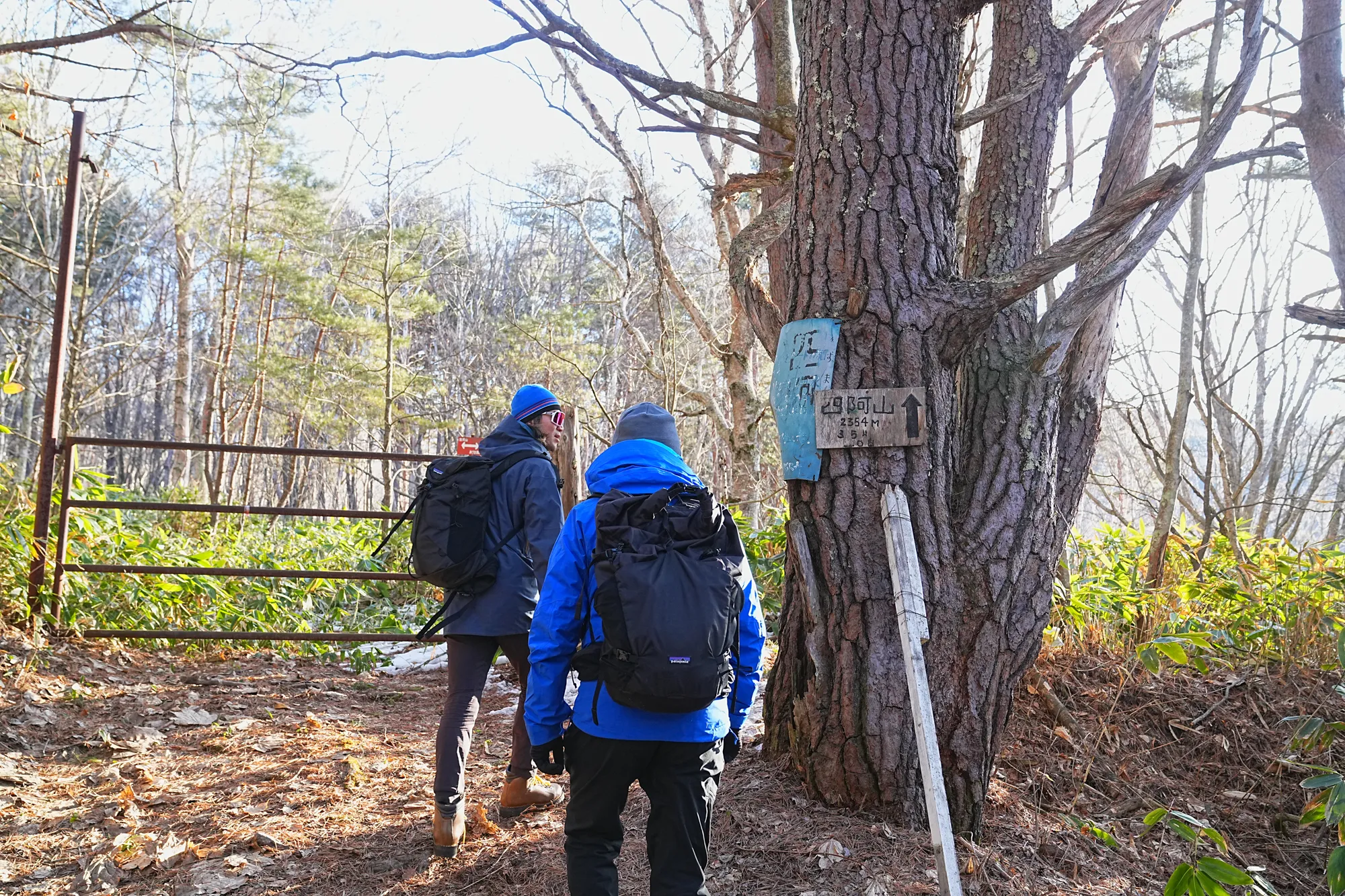 残雪の四阿山 早春登山