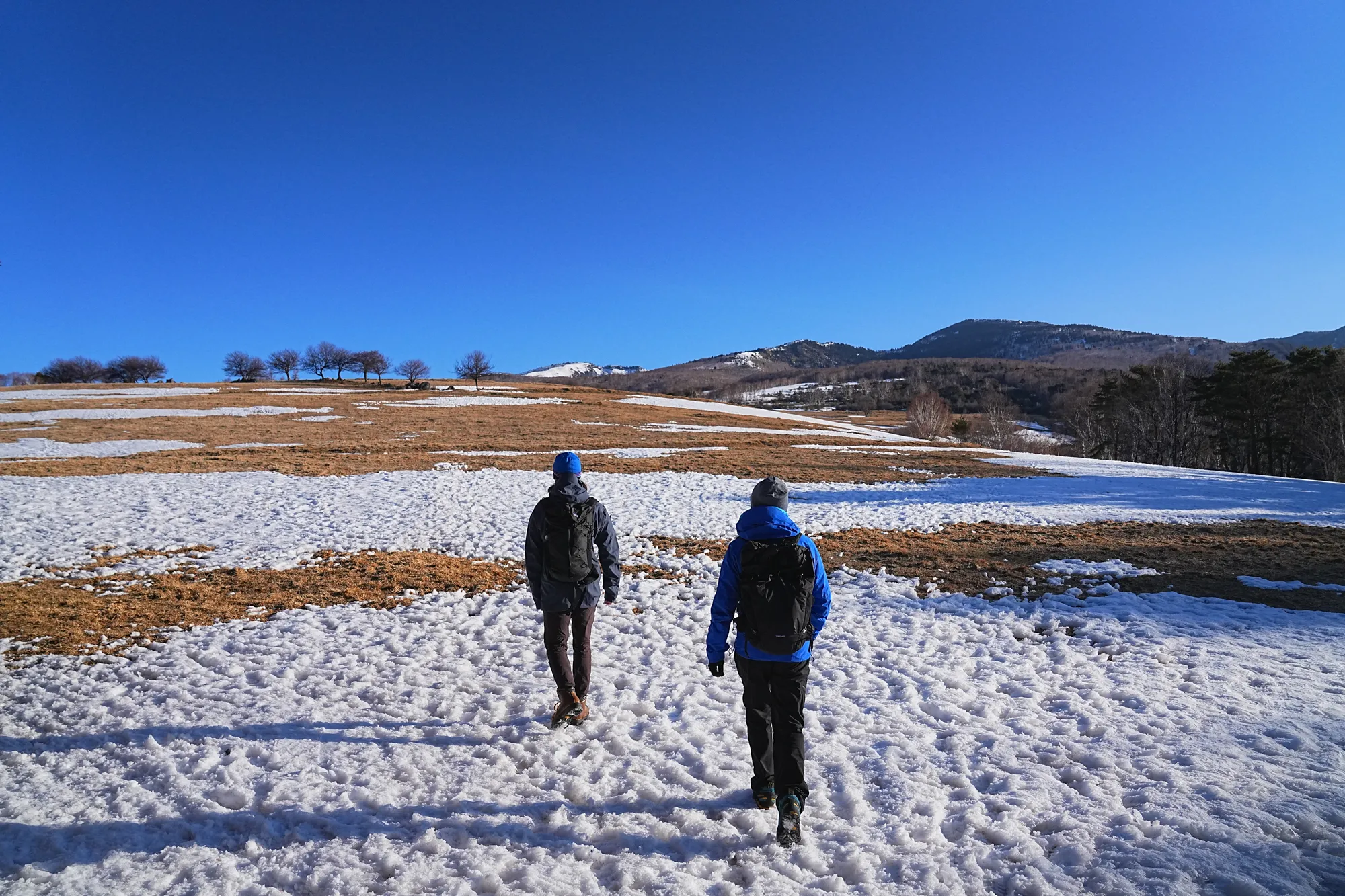 残雪の四阿山 早春登山