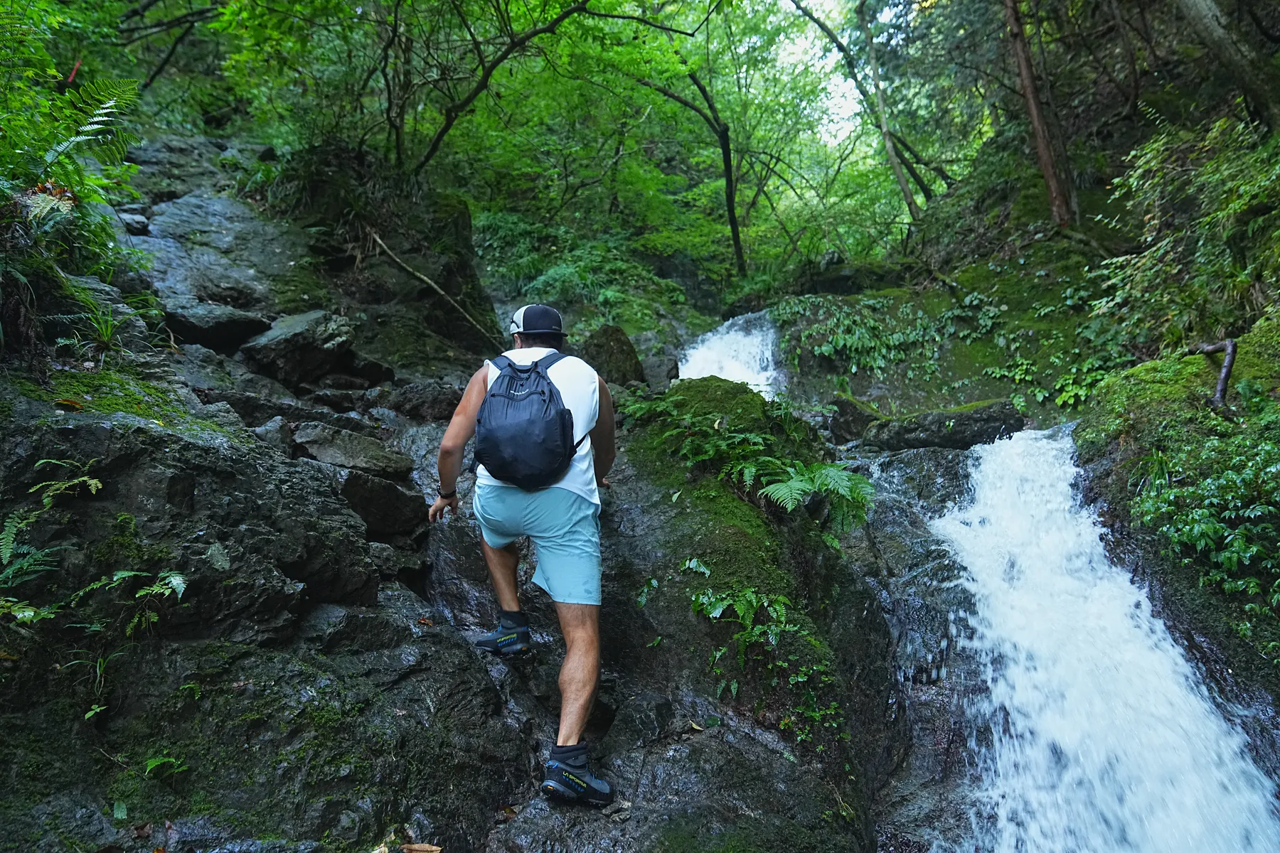 棒ノ折山/棒ノ嶺　初心者でも簡単沢歩き登山