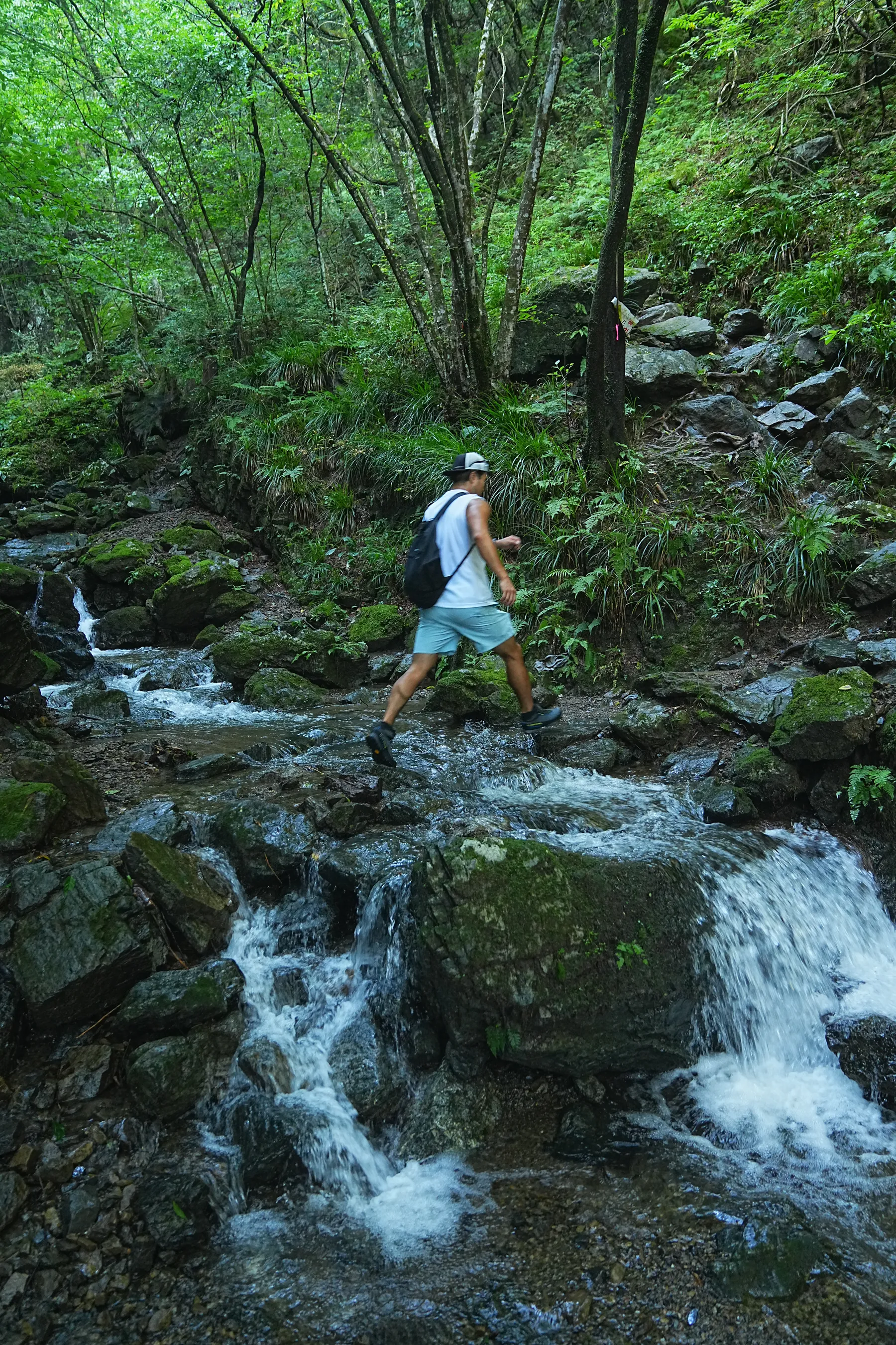 棒ノ折山/棒ノ嶺　初心者でも簡単沢歩き登山