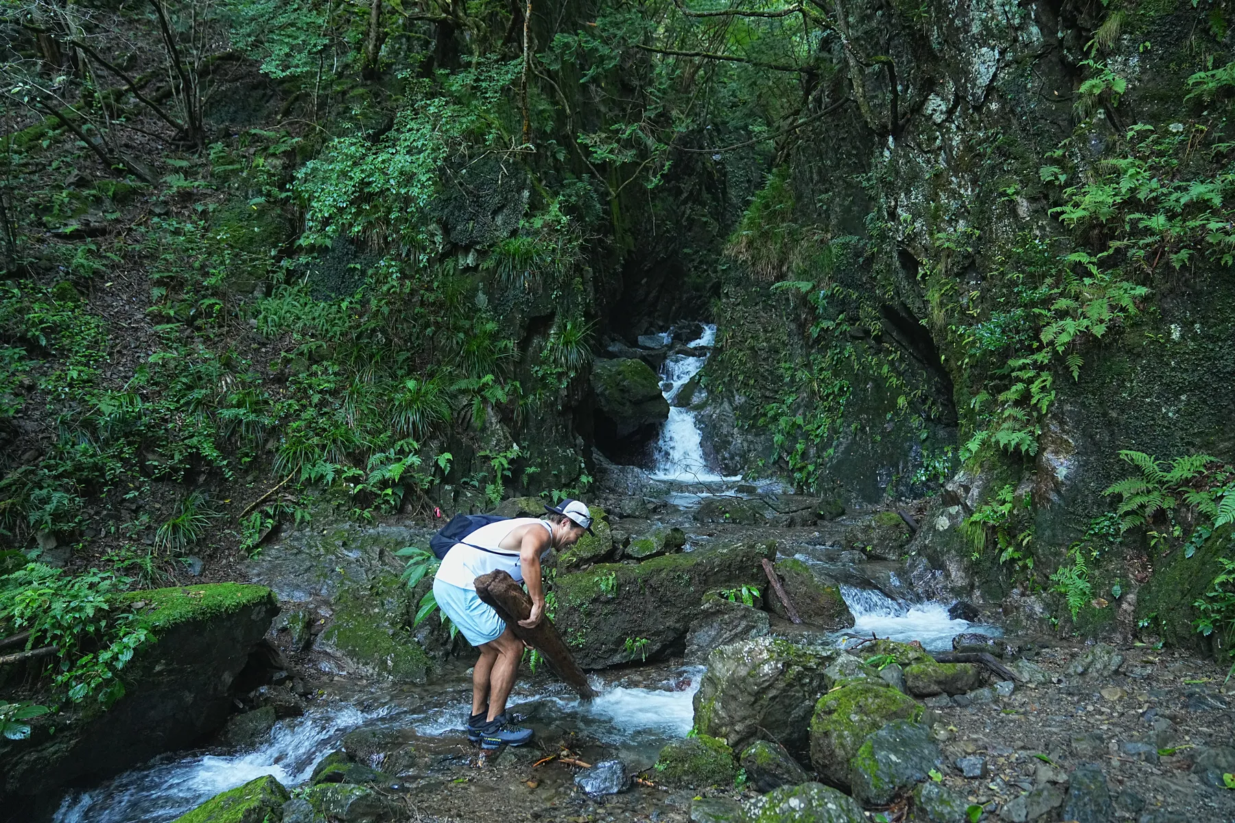 棒ノ折山/棒ノ嶺　初心者でも簡単沢歩き登山