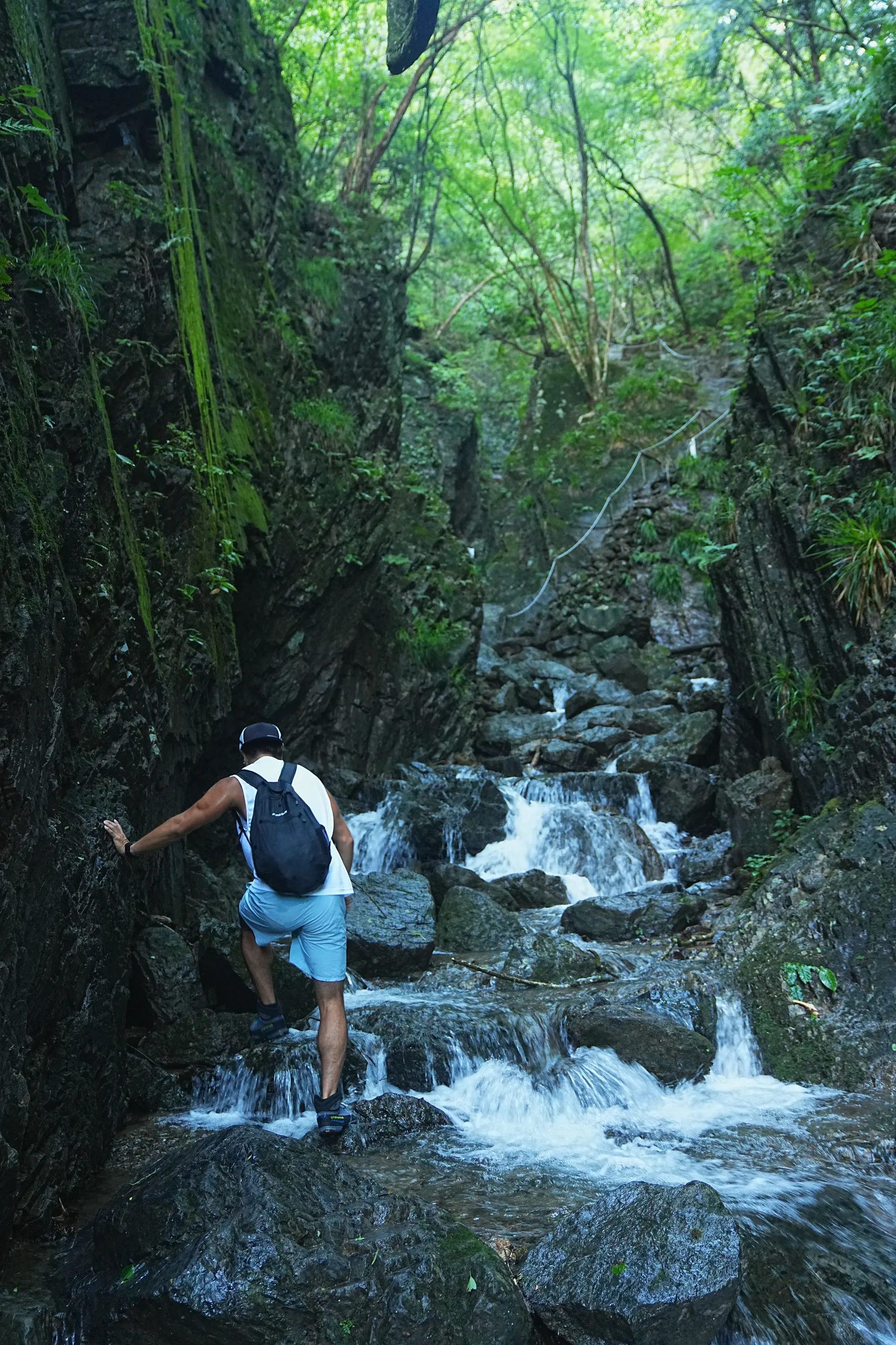 棒ノ折山/棒ノ嶺　初心者でも簡単沢歩き登山