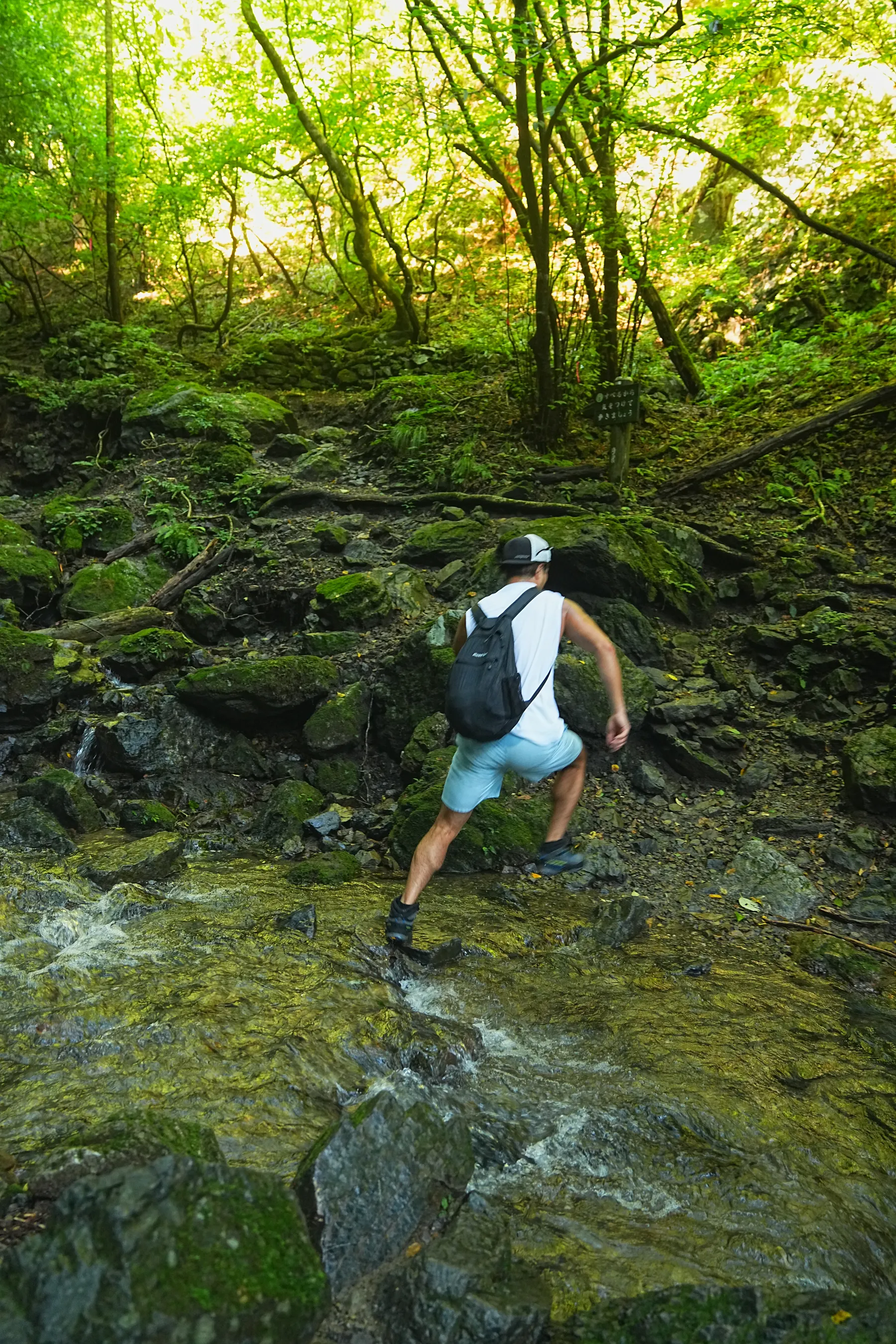 棒ノ折山/棒ノ嶺　初心者でも簡単沢歩き登山