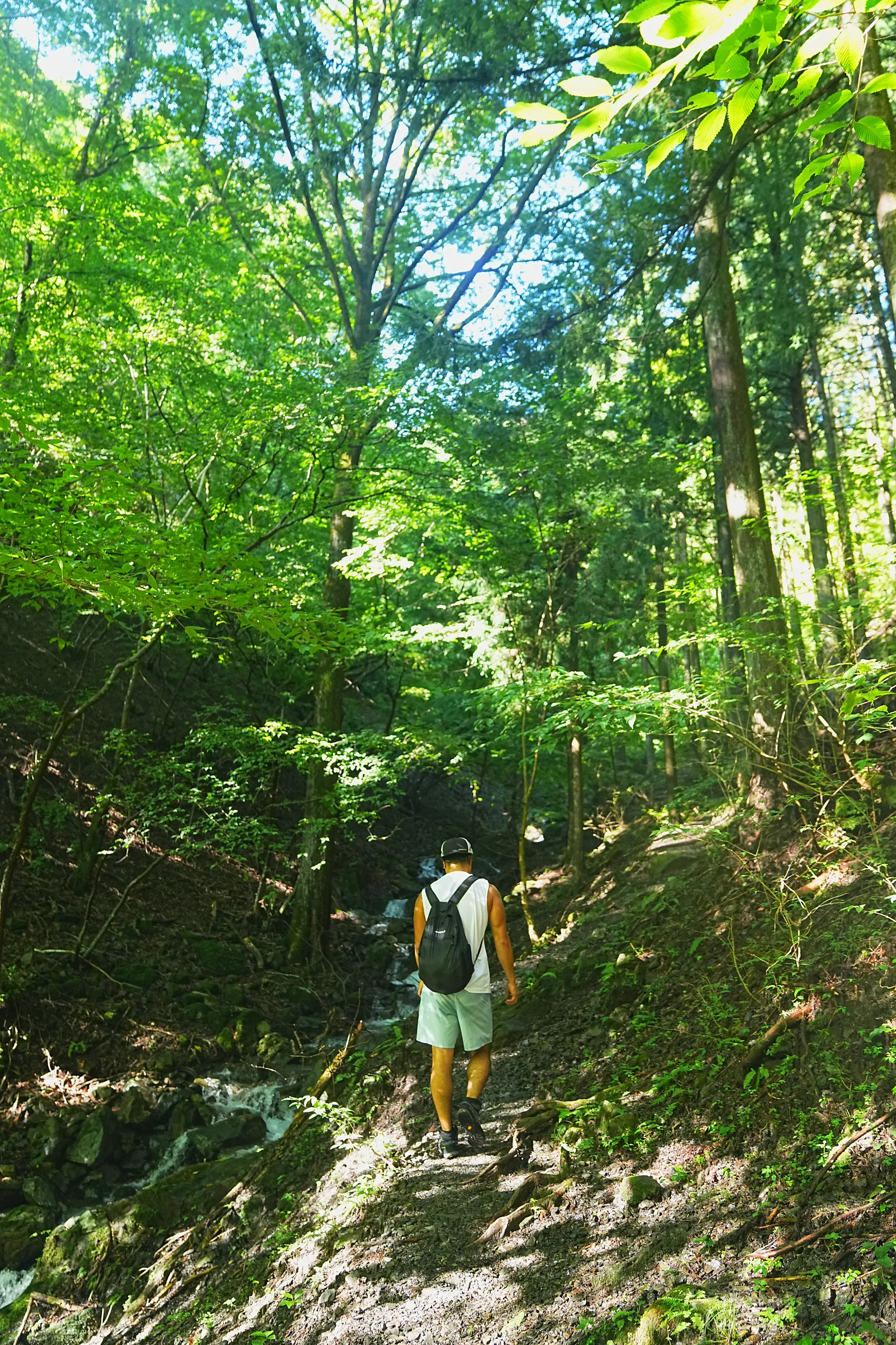 棒ノ折山/棒ノ嶺　初心者でも簡単沢歩き登山