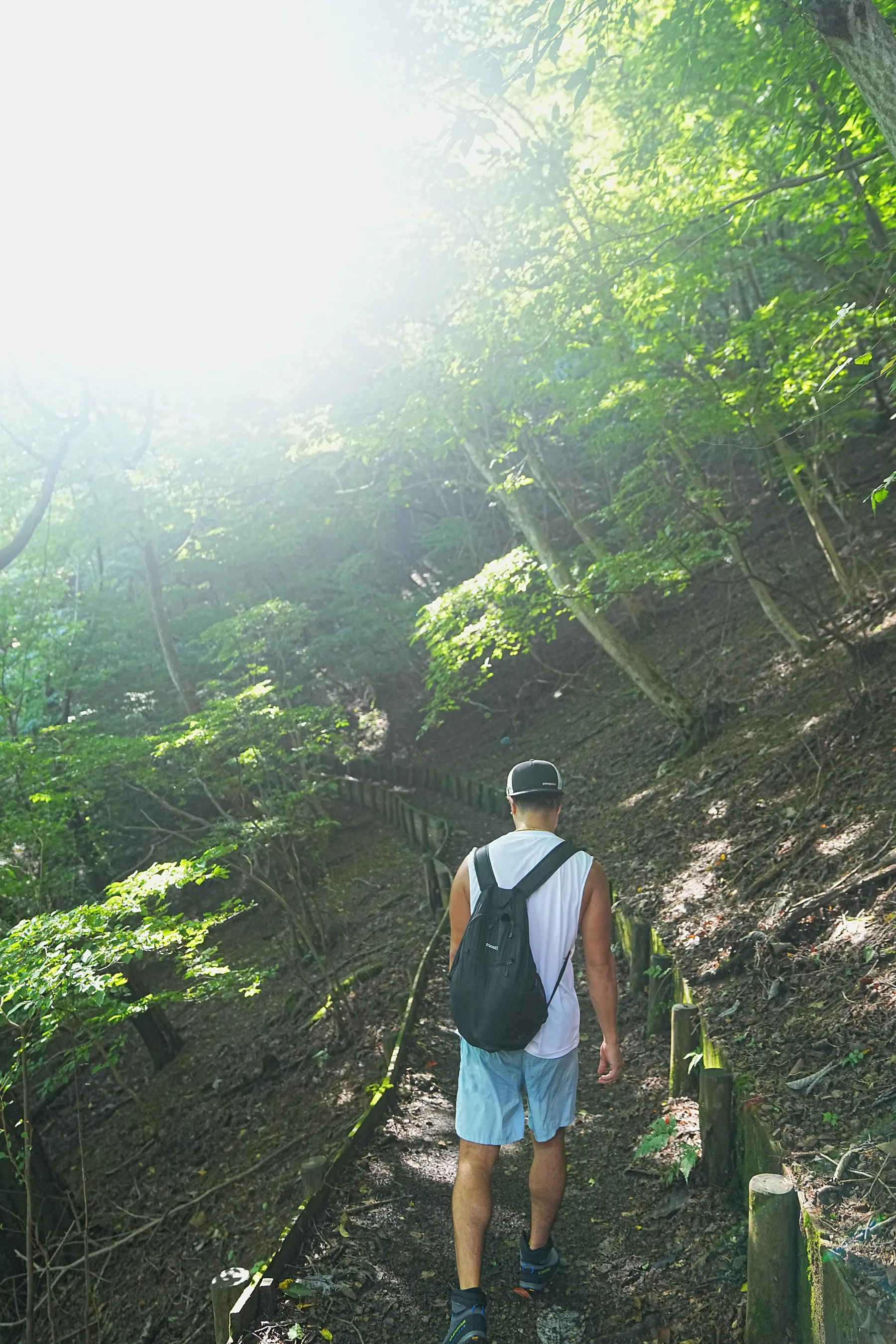 棒ノ折山/棒ノ嶺　初心者でも簡単沢歩き登山