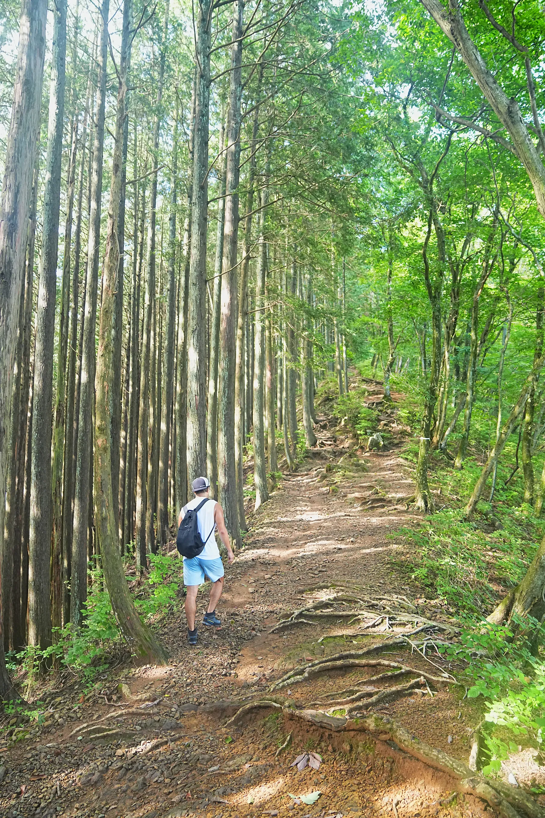 霧降高原　ハイキング