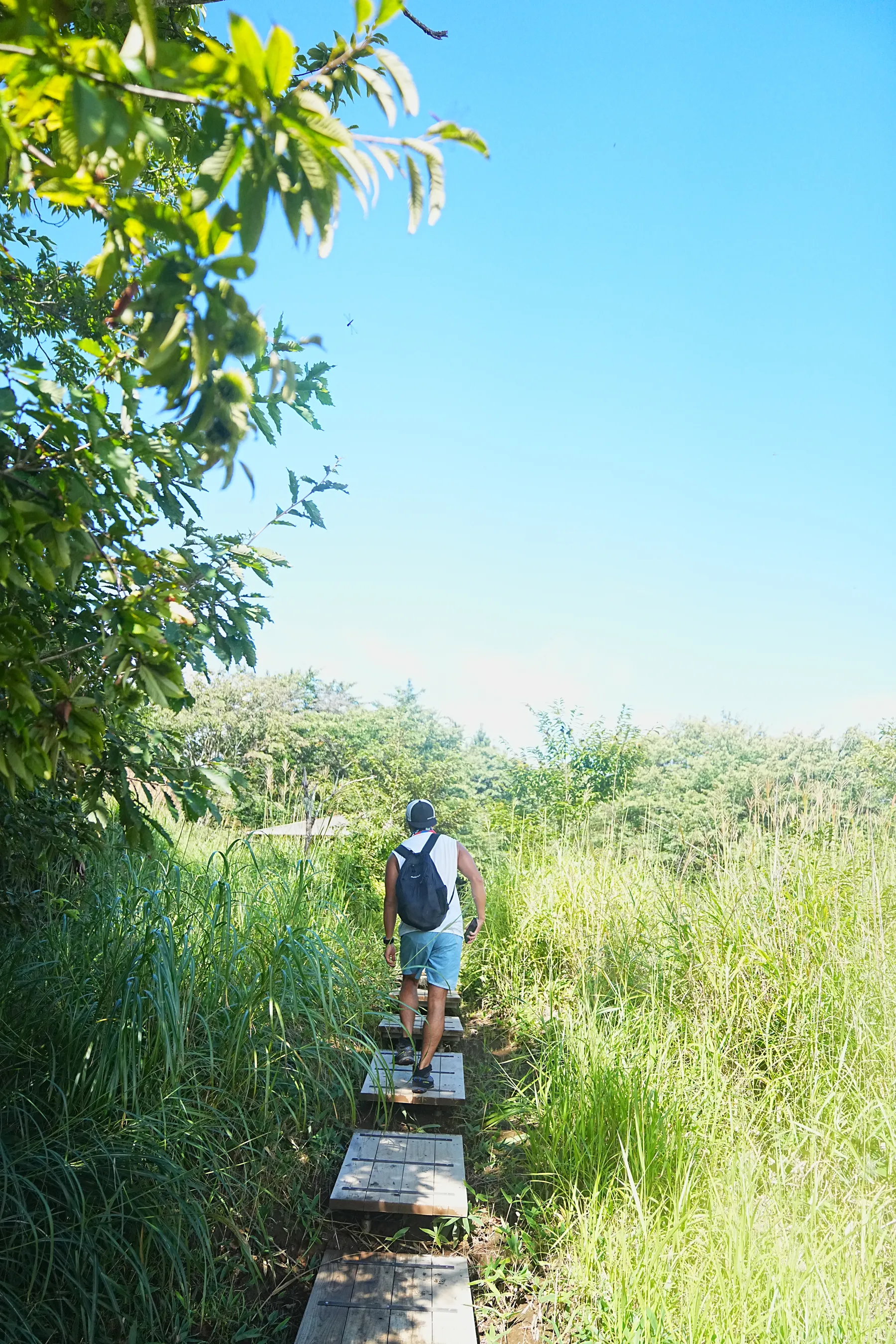 棒ノ折山/棒ノ嶺　初心者でも簡単沢歩き登山