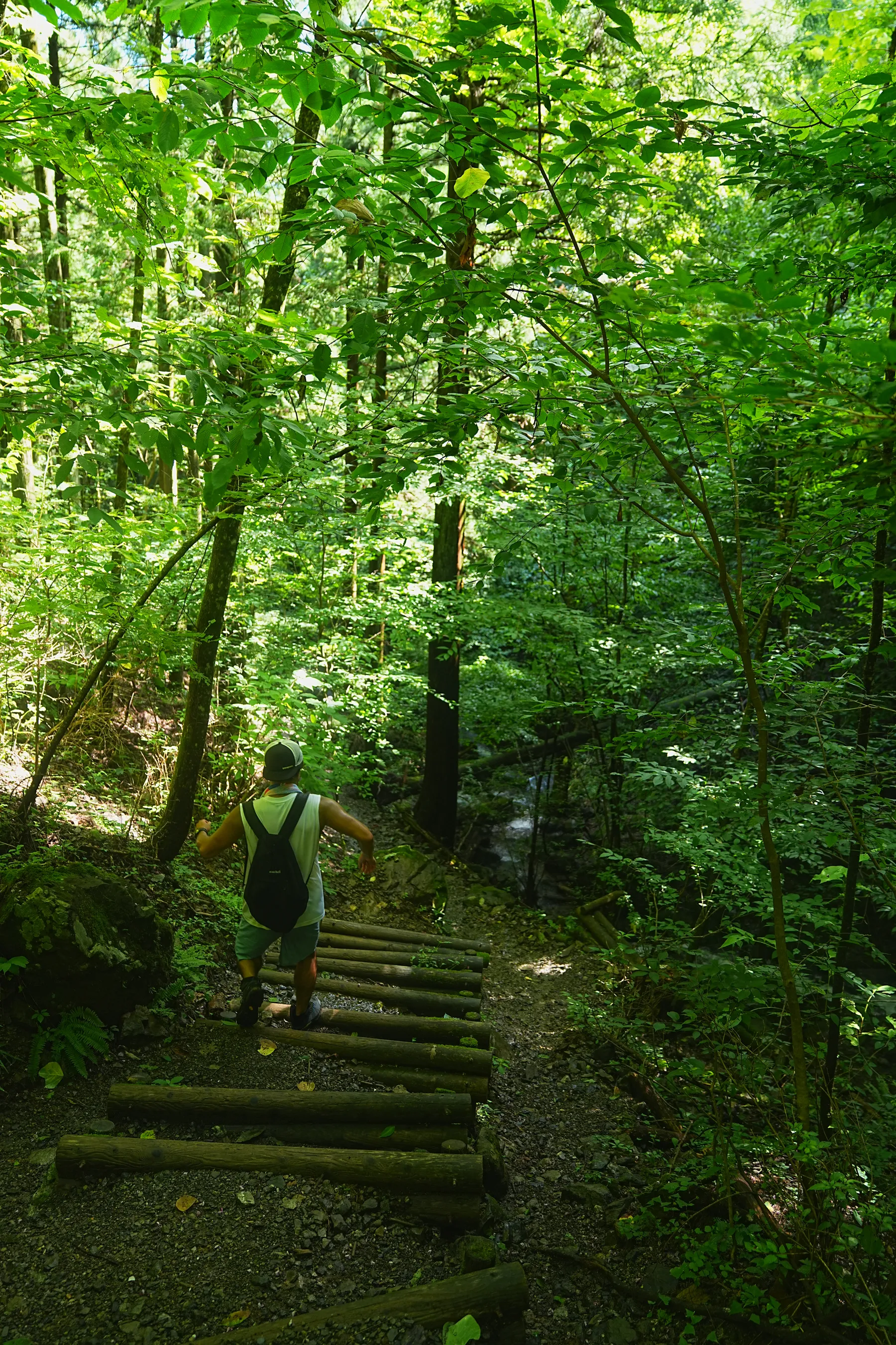 棒ノ折山/棒ノ嶺　初心者でも簡単沢歩き登山