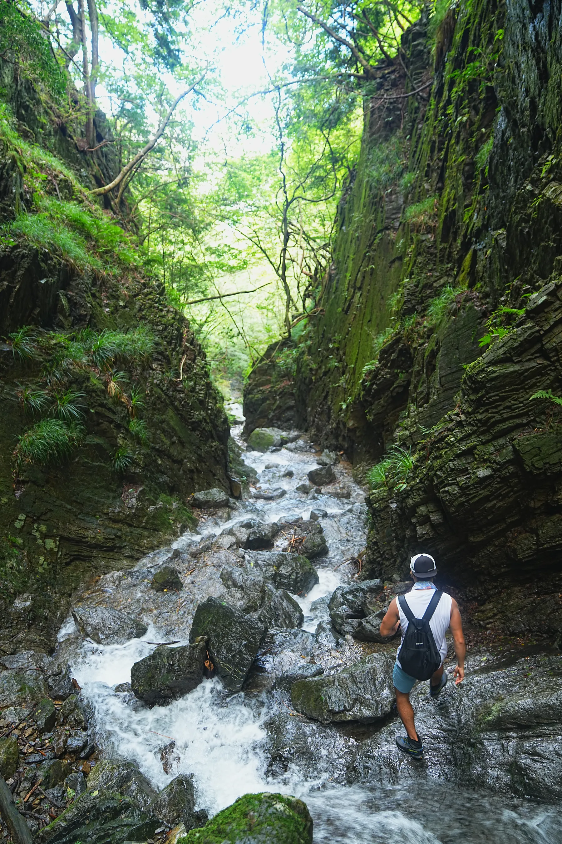 棒ノ折山/棒ノ嶺　初心者でも簡単沢歩き登山