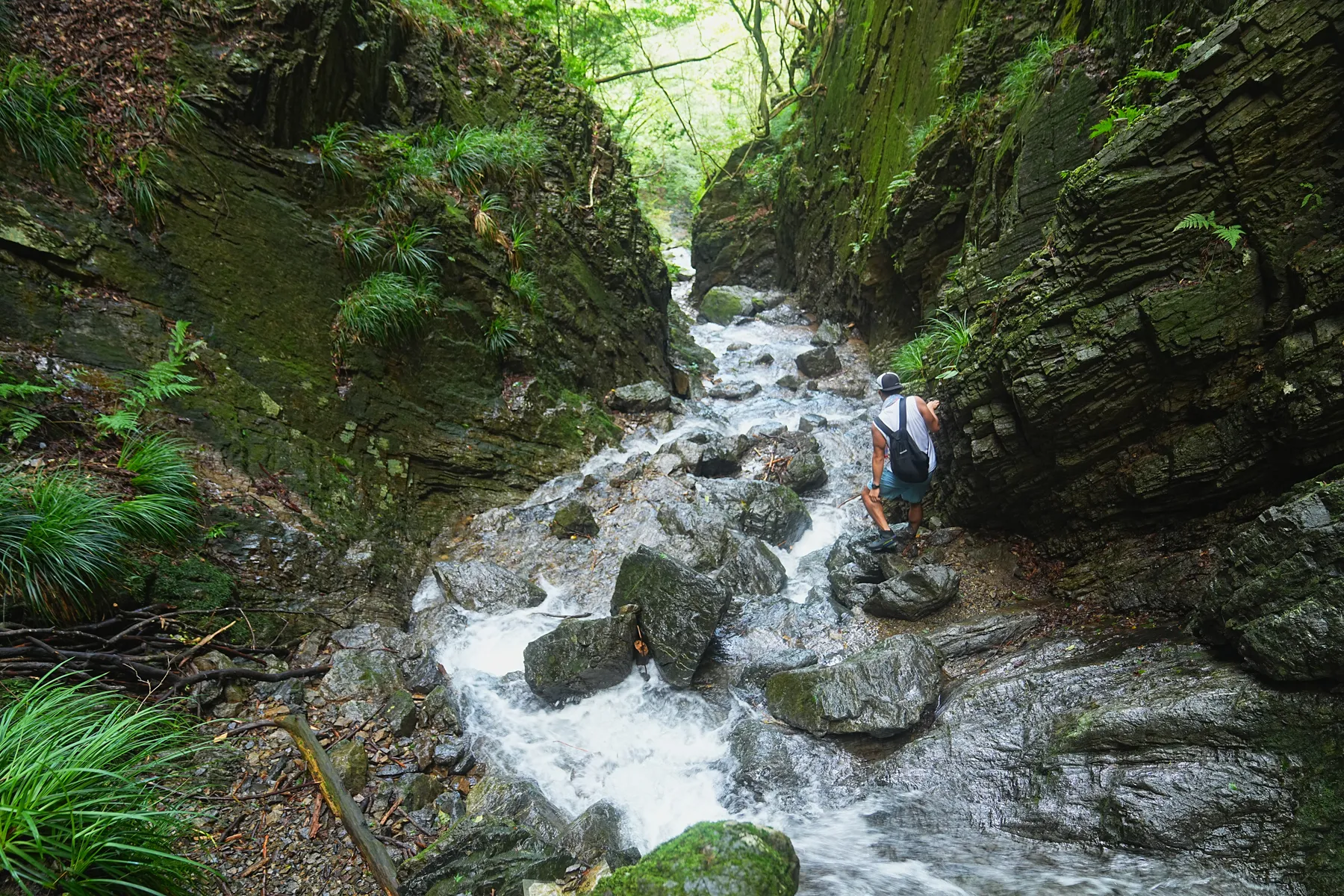 棒ノ折山/棒ノ嶺　初心者でも簡単沢歩き登山