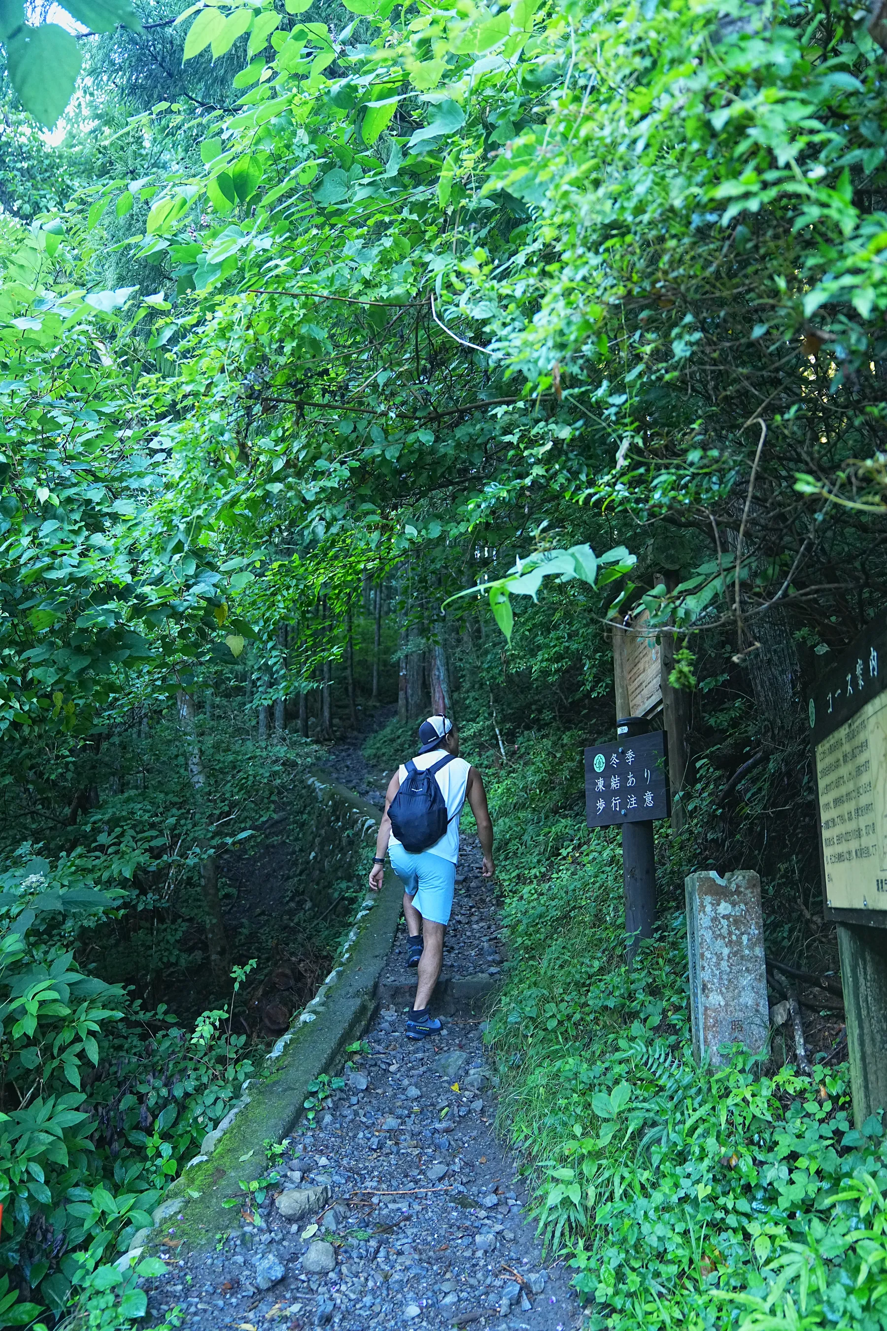 棒ノ折山/棒ノ嶺　初心者でも簡単沢歩き登山