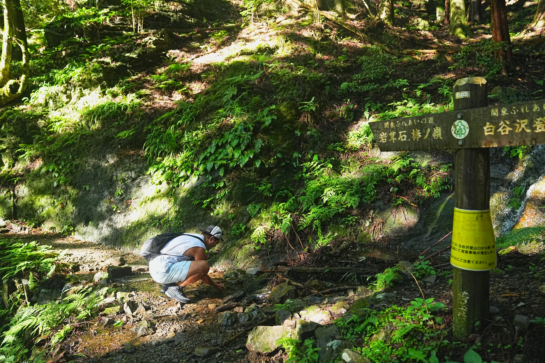 棒ノ折山/棒ノ嶺　初心者でも簡単沢歩き登山