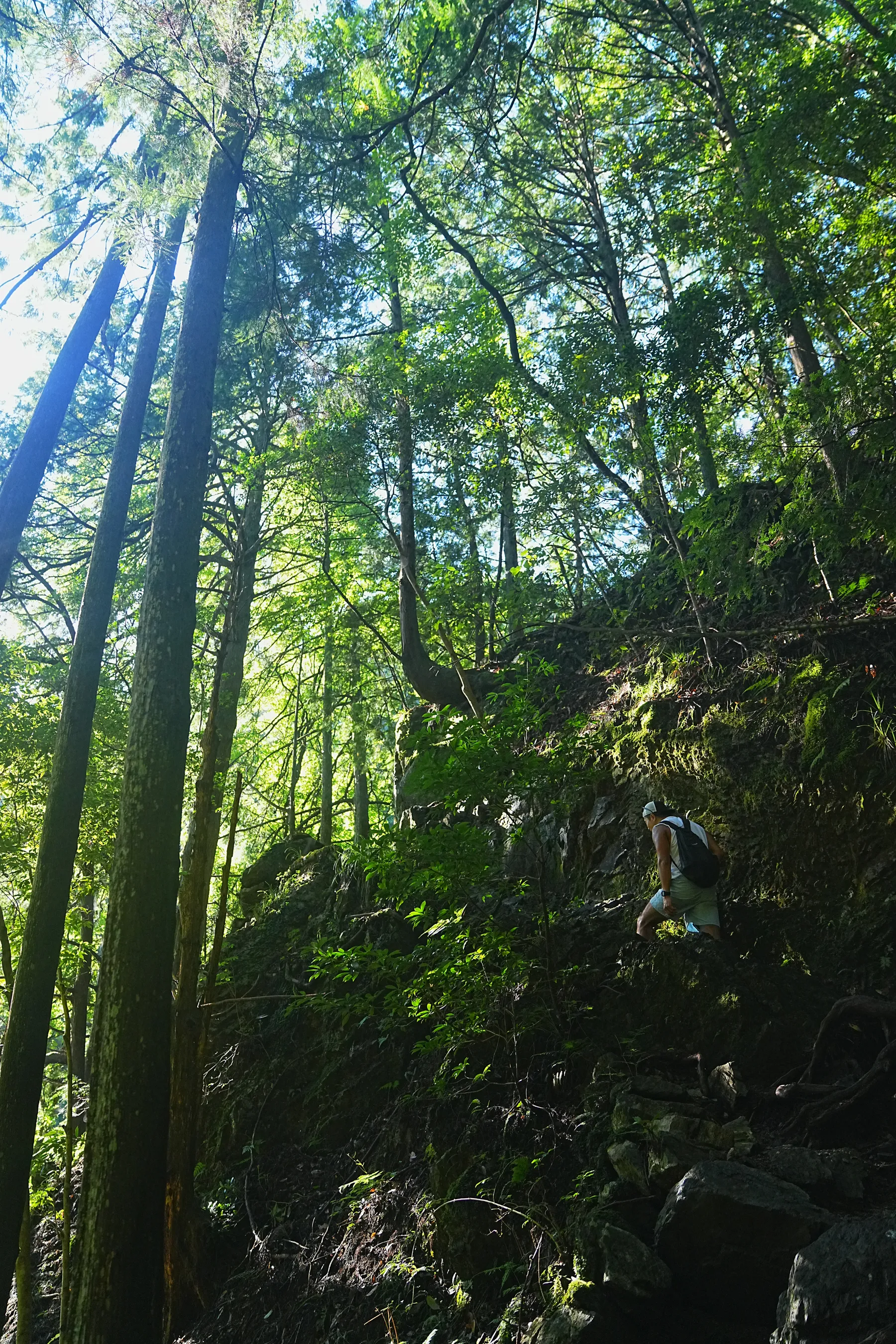 棒ノ折山/棒ノ嶺　初心者でも簡単沢歩き登山