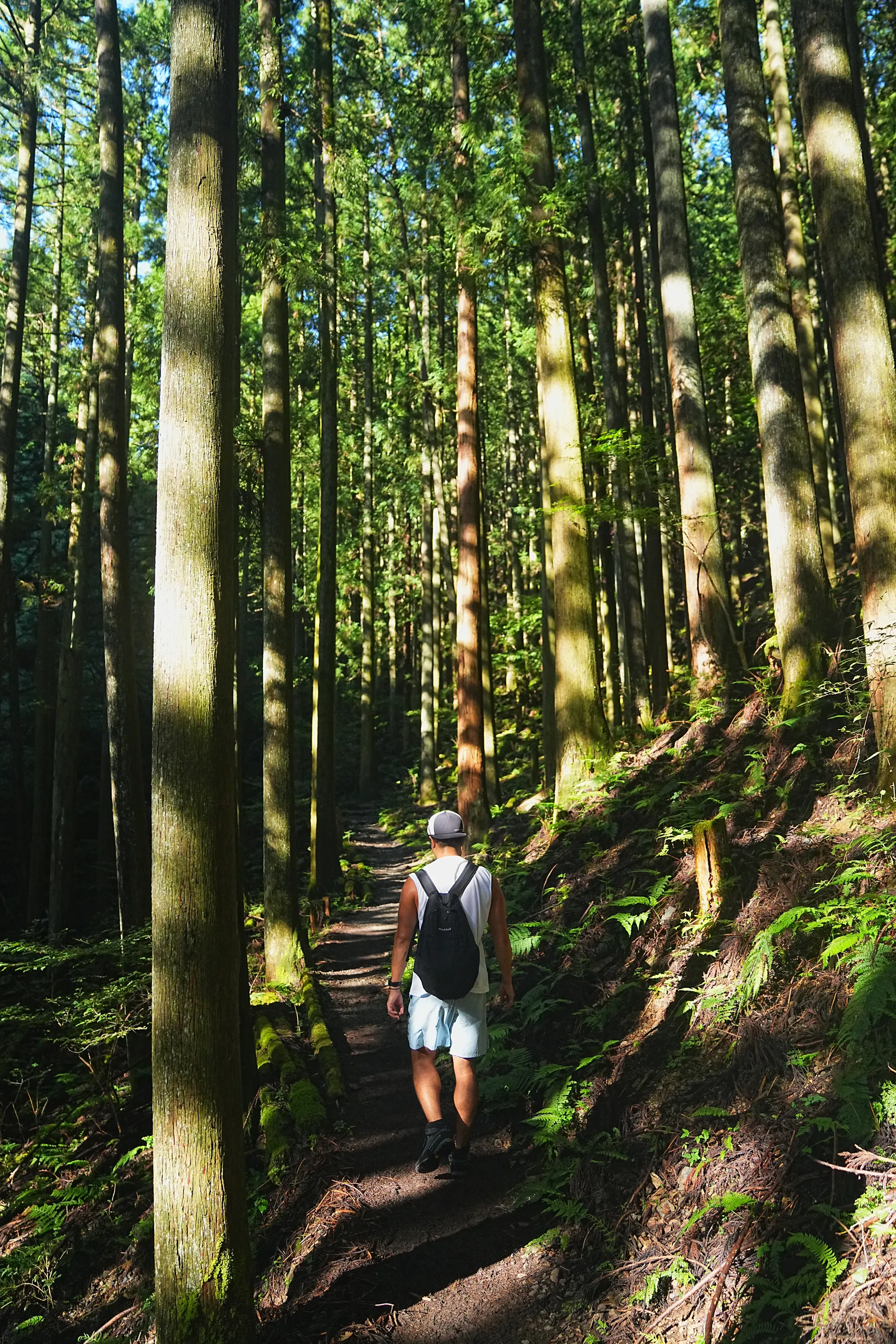 棒ノ折山/棒ノ嶺　初心者でも簡単沢歩き登山