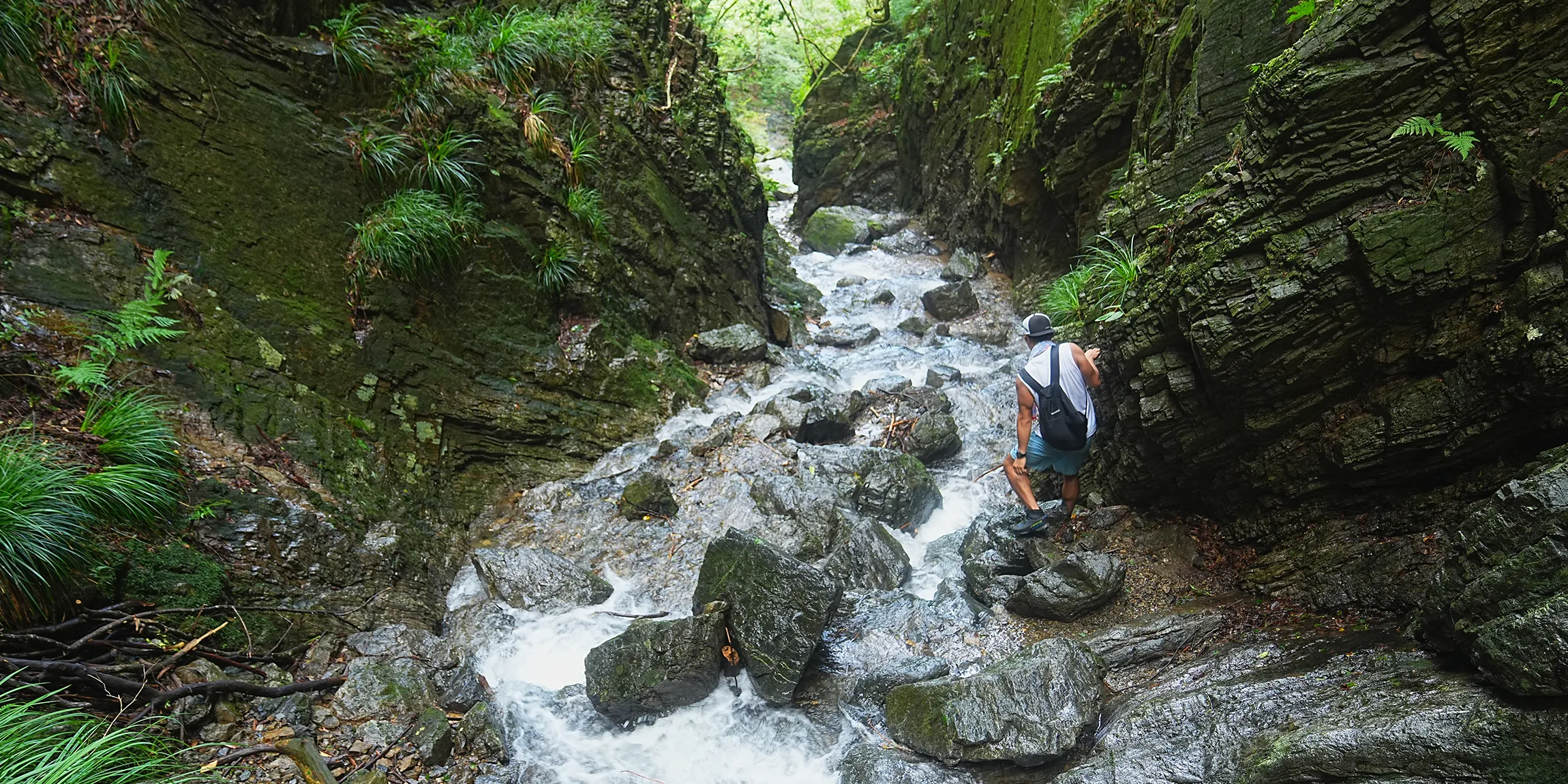 棒ノ折山/棒ノ嶺　初心者でも簡単沢歩き登山