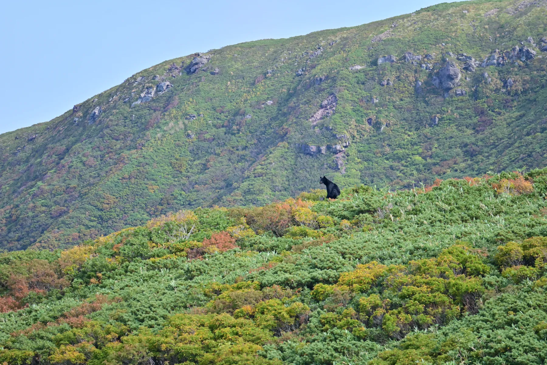 紅葉の鳥海山登山