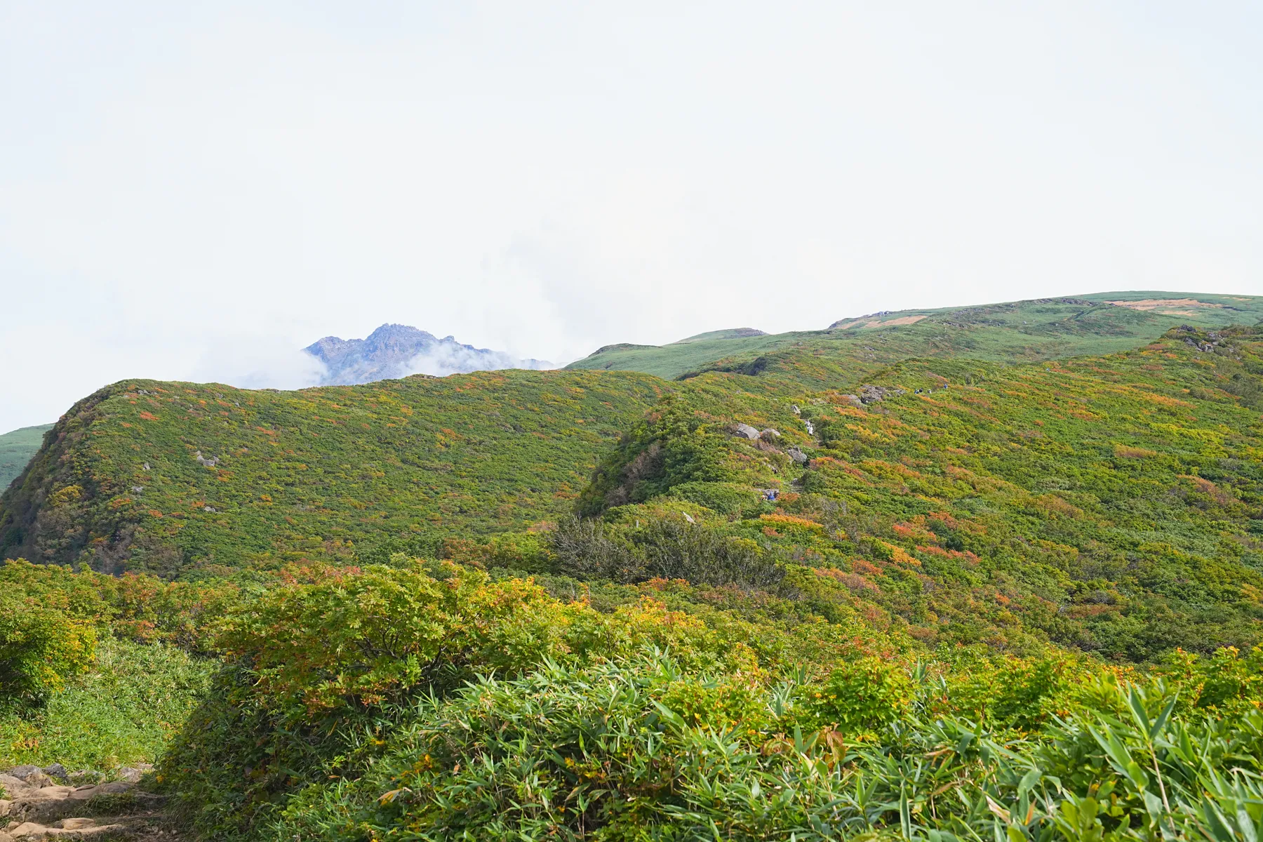 紅葉の鳥海山登山