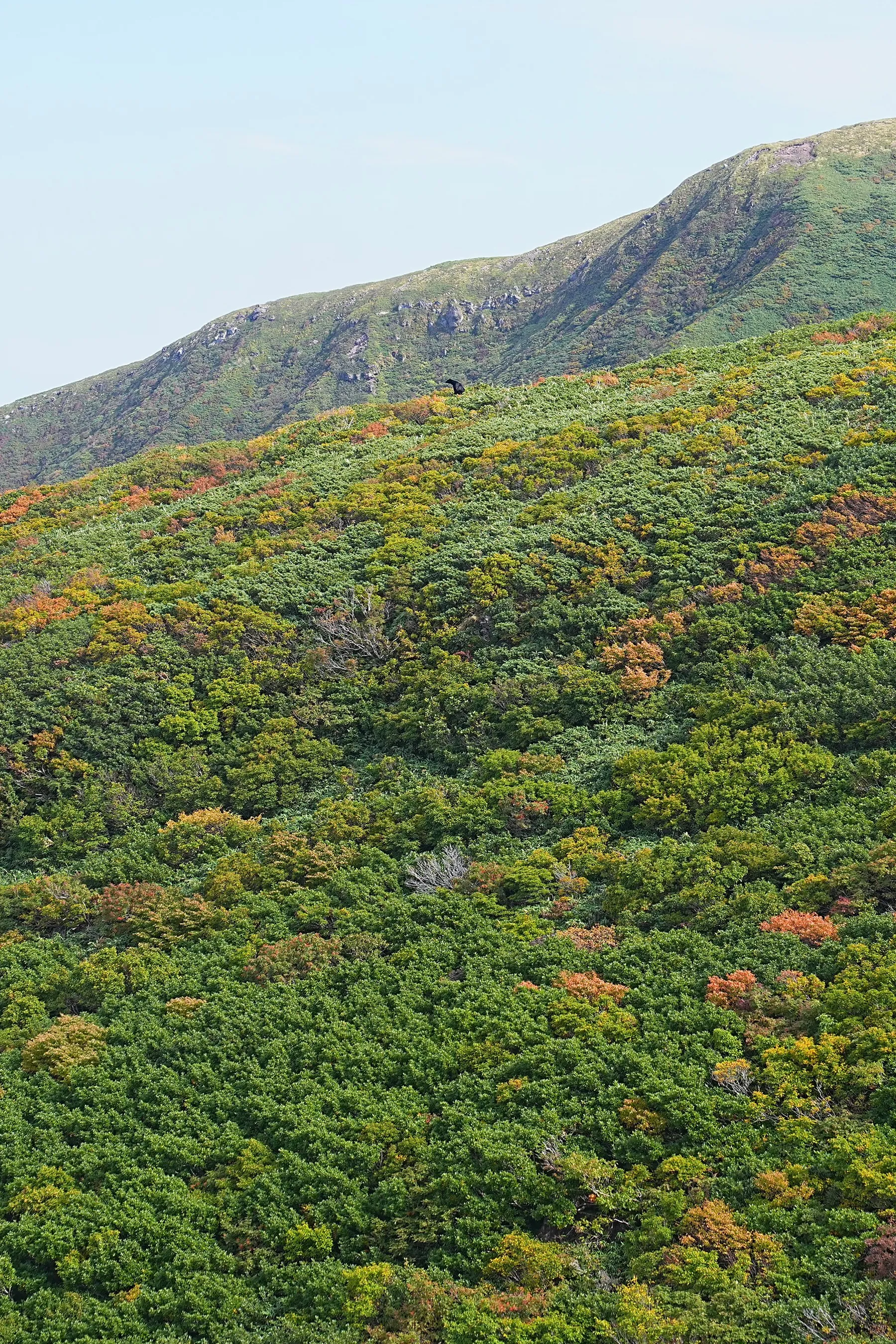 紅葉の鳥海山登山