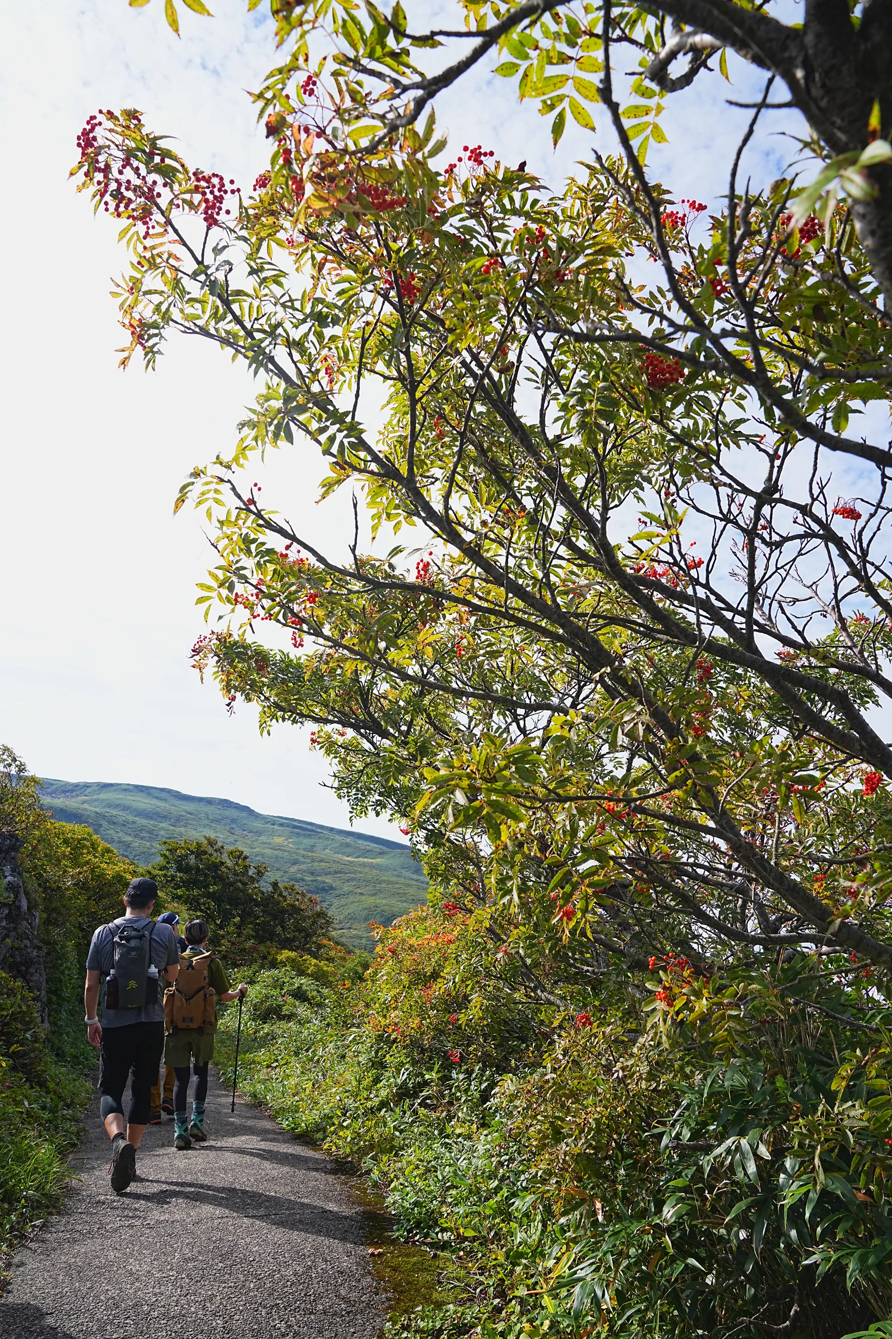 紅葉の鳥海山登山