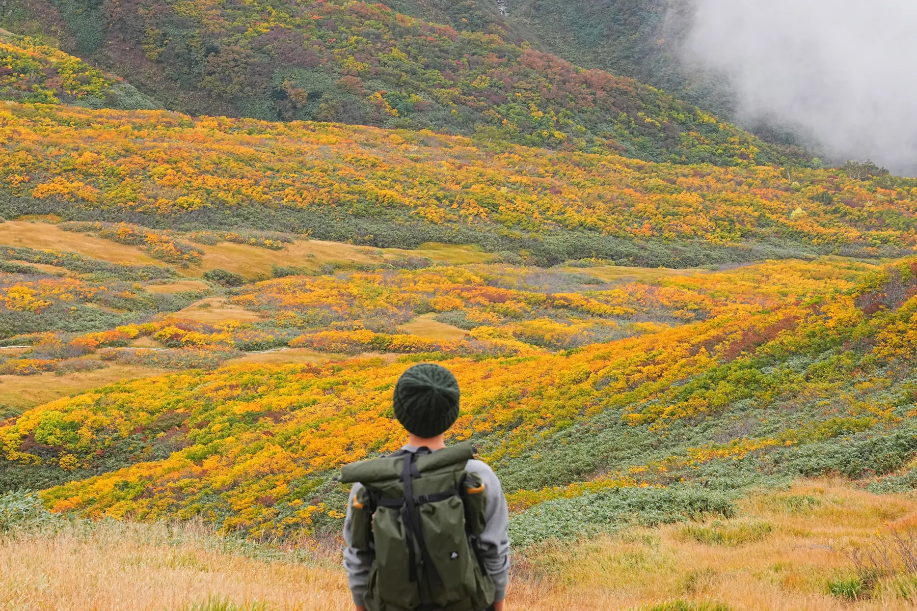 紅葉の月山へ 日帰り紅葉登山