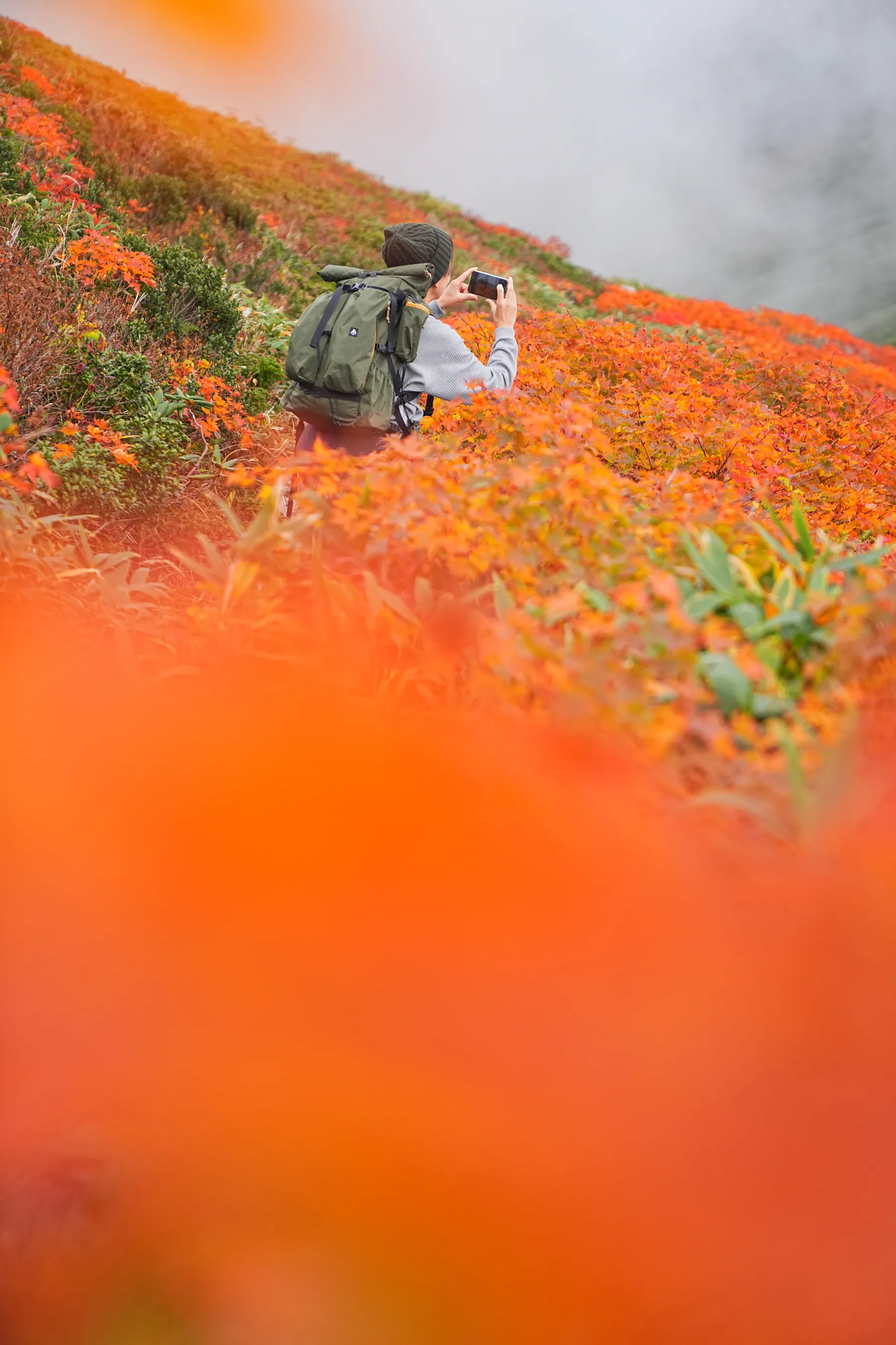 紅葉の月山へ 日帰り紅葉登山