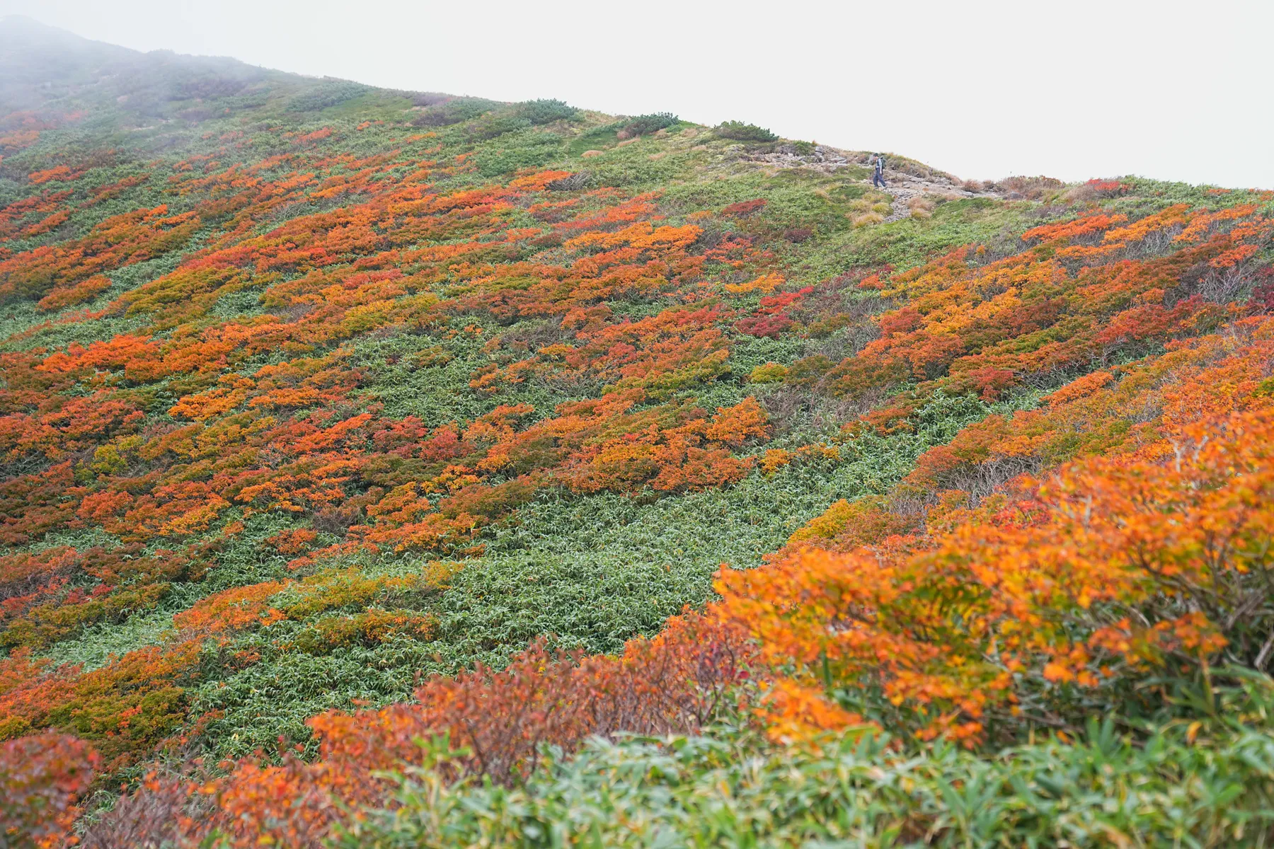 紅葉の月山へ 日帰り紅葉登山