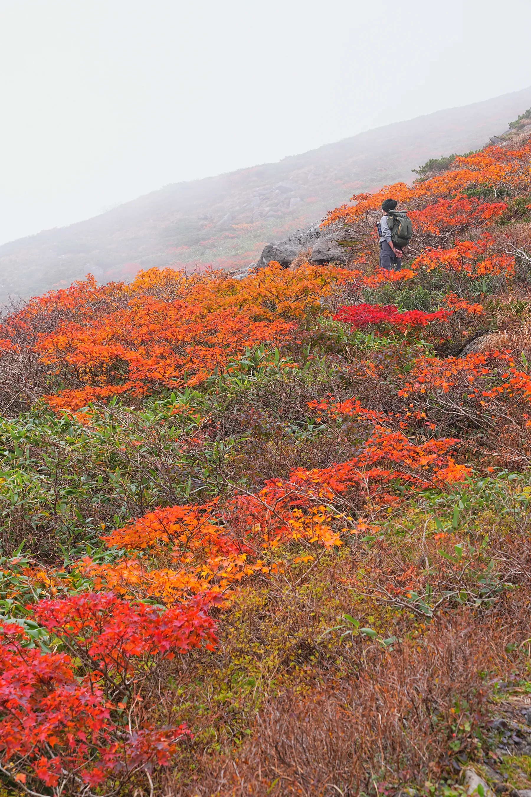 紅葉の月山へ 日帰り紅葉登山