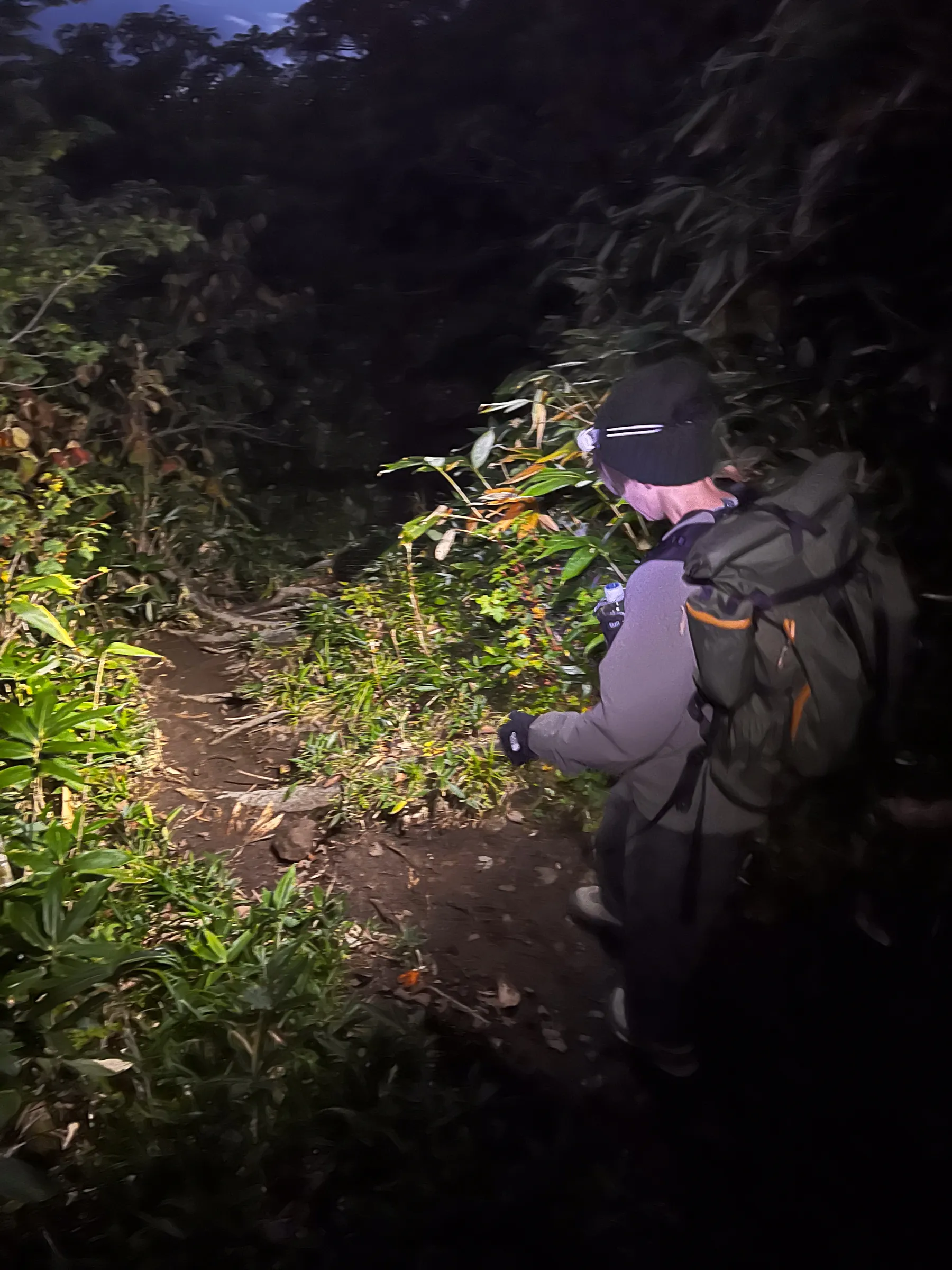 紅葉の月山へ 日帰り紅葉登山