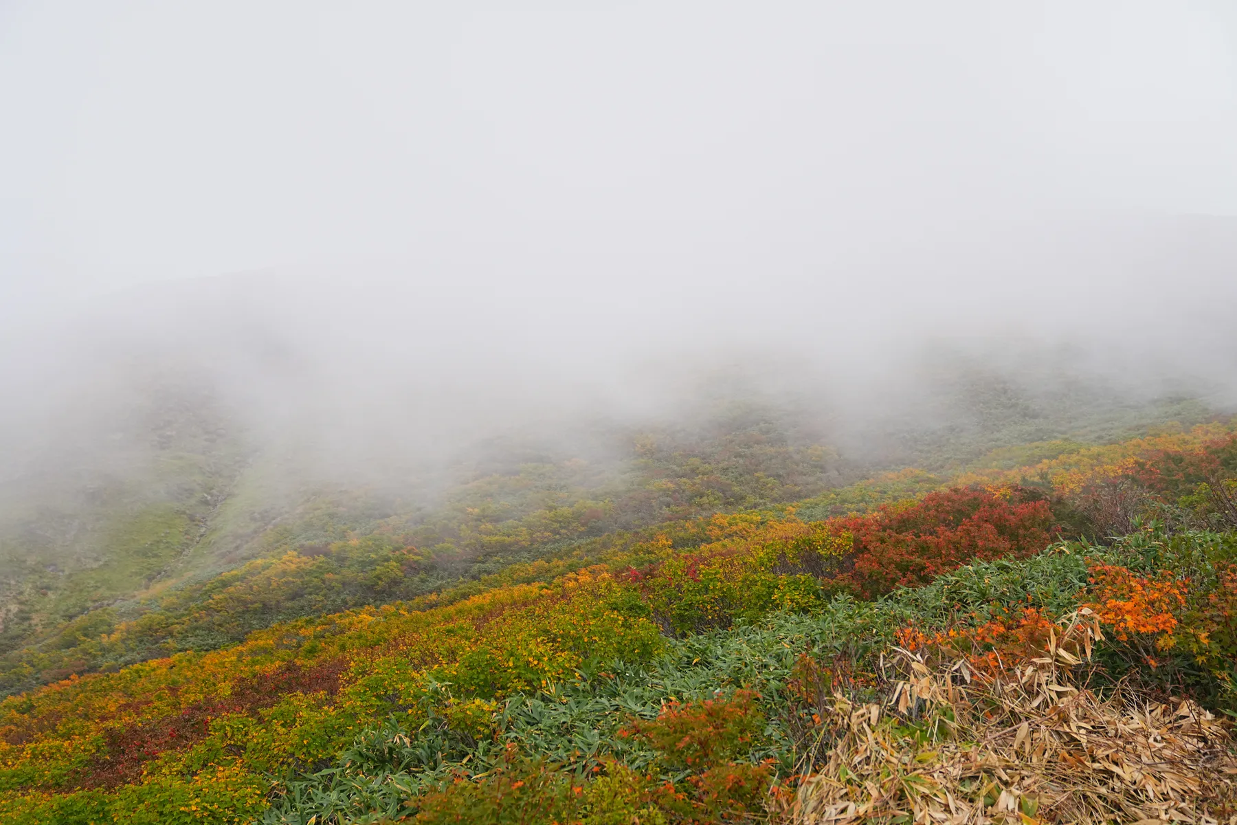 紅葉の月山へ 日帰り紅葉登山