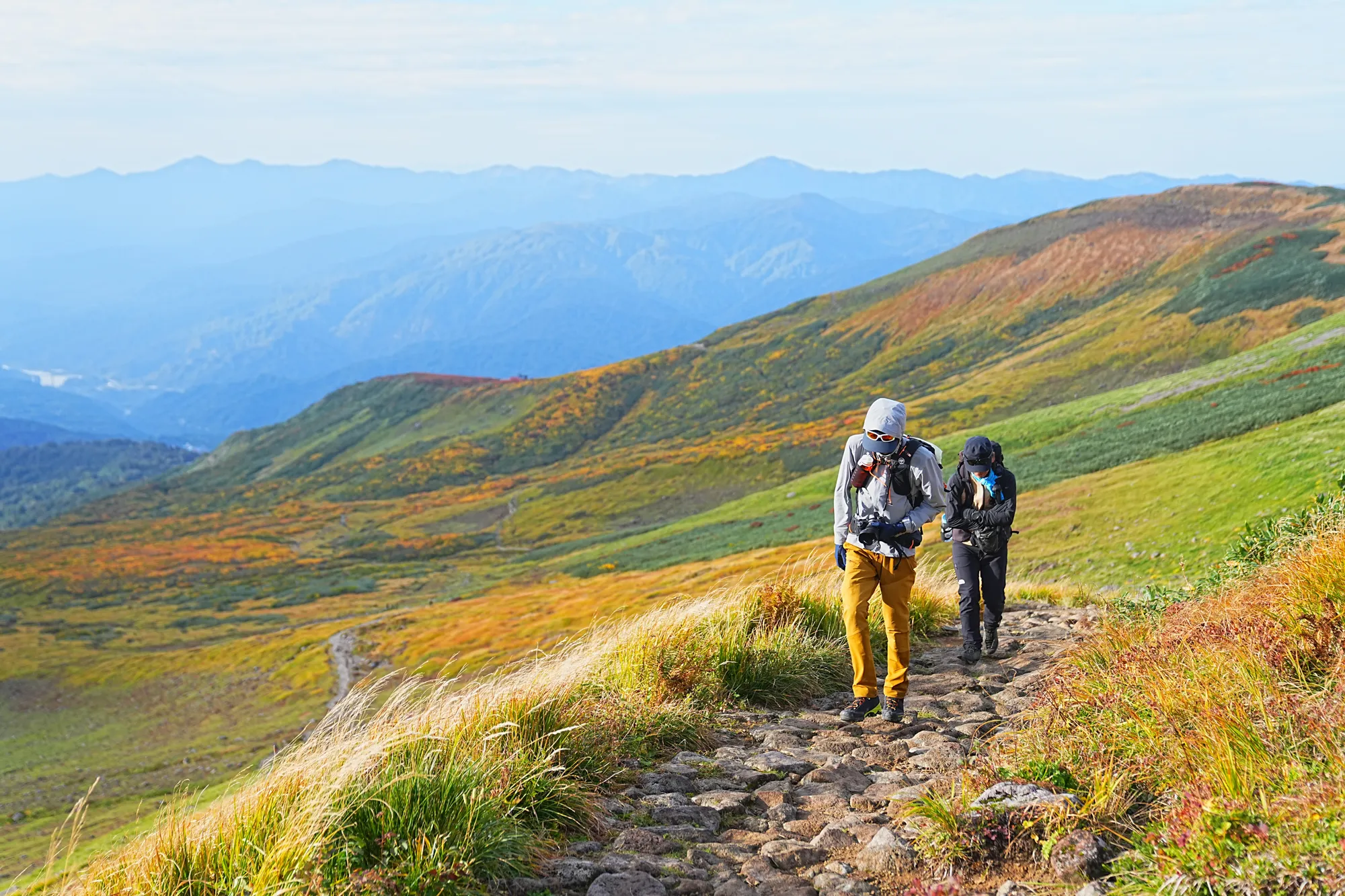 紅葉に染まる名峰・月山。2025年紅葉状況レポート。
