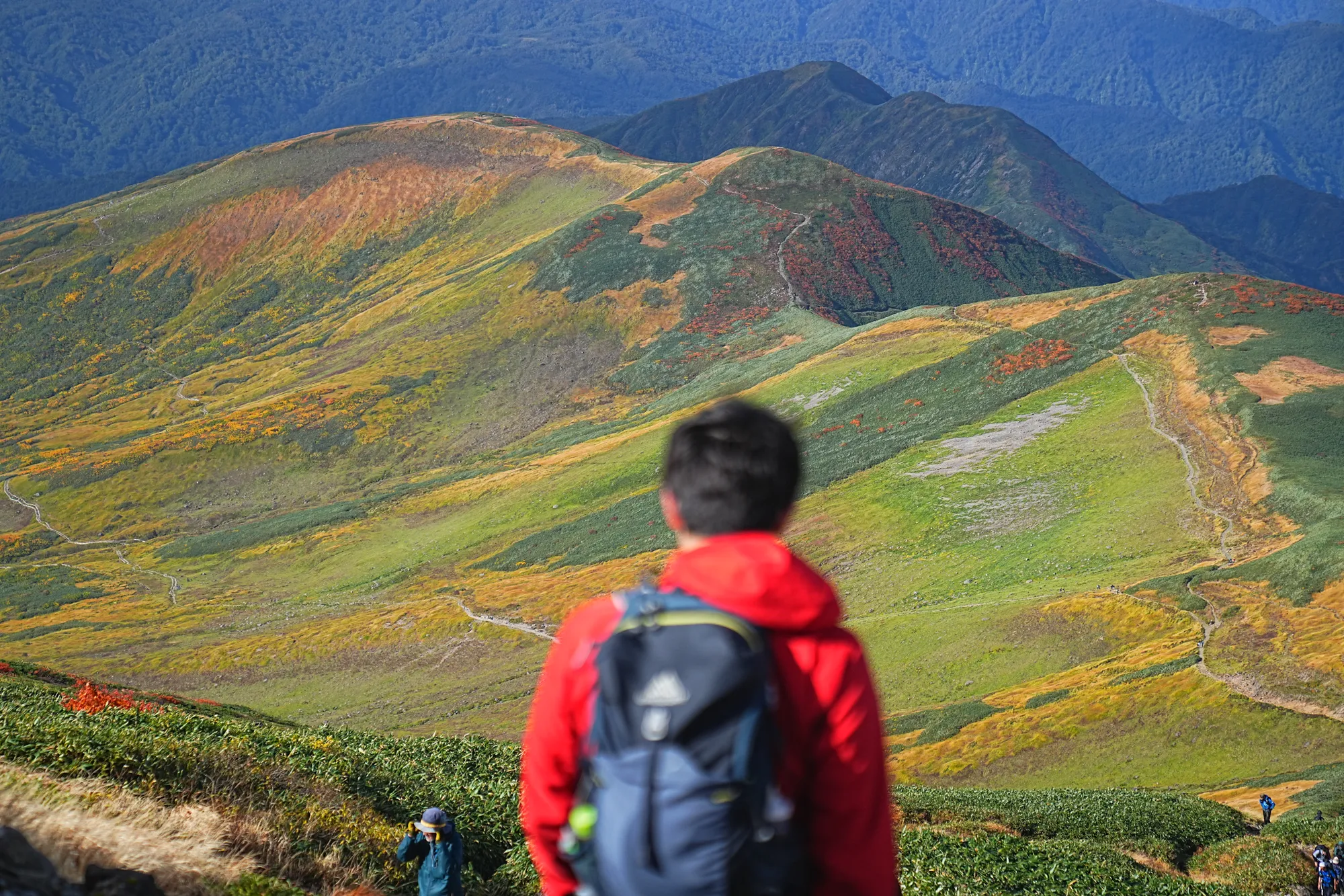 紅葉に染まる名峰・月山。2025年紅葉状況レポート。